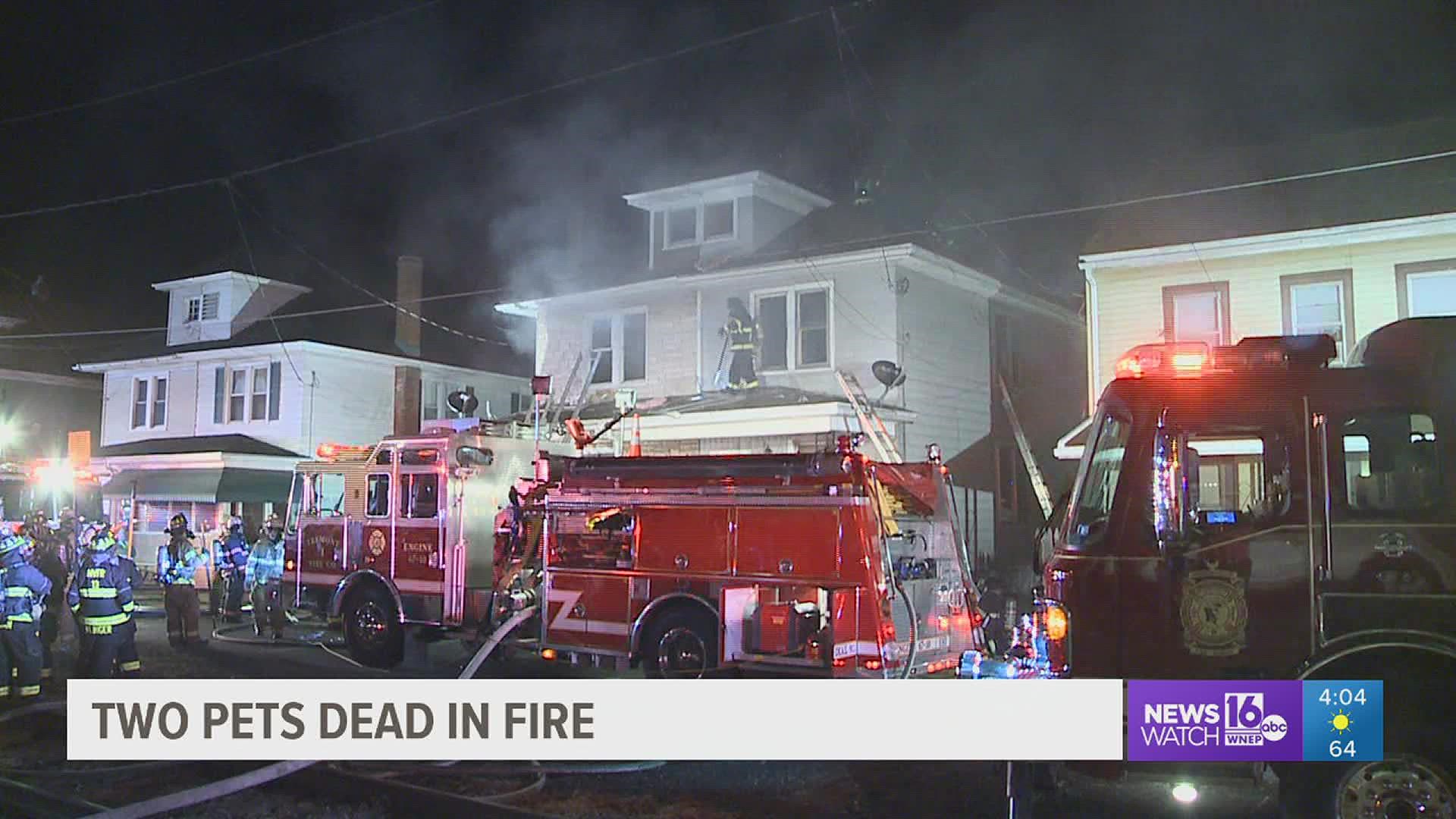The Tremont fire also took the lives of two dogs.