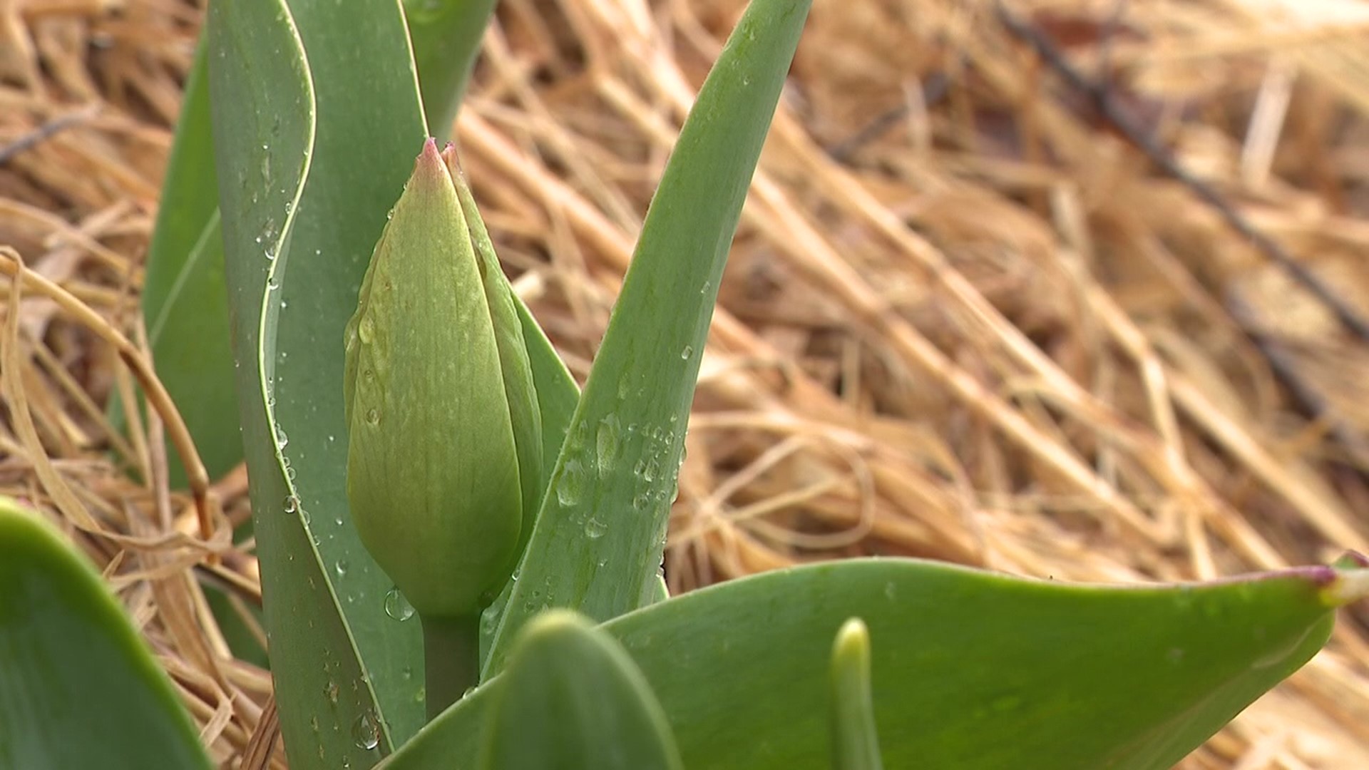 Newswatch 16's Melissa Steininger takes us to the one place that is happy to see the cold and the rain.