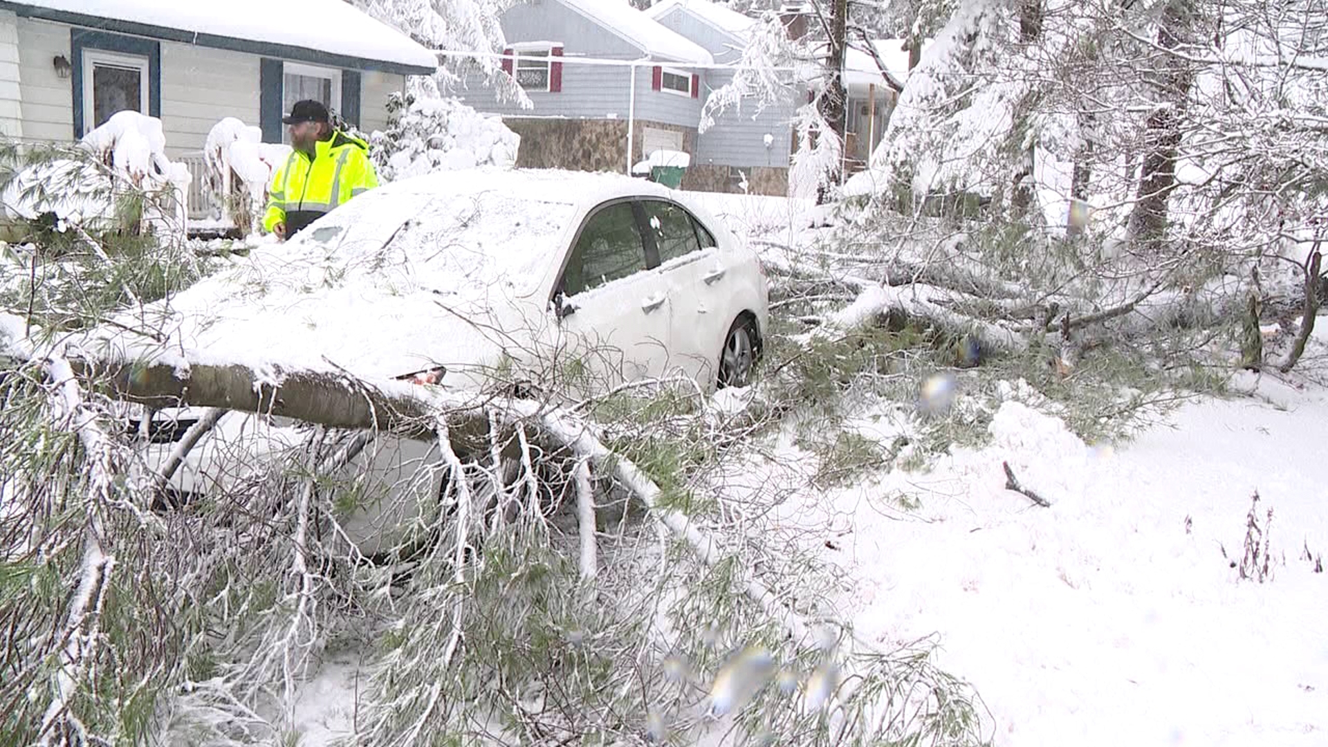 Heavy snow caused a tree to fall on a car in Bear Creek Township just after the owner had finished snowblowing his driveway.