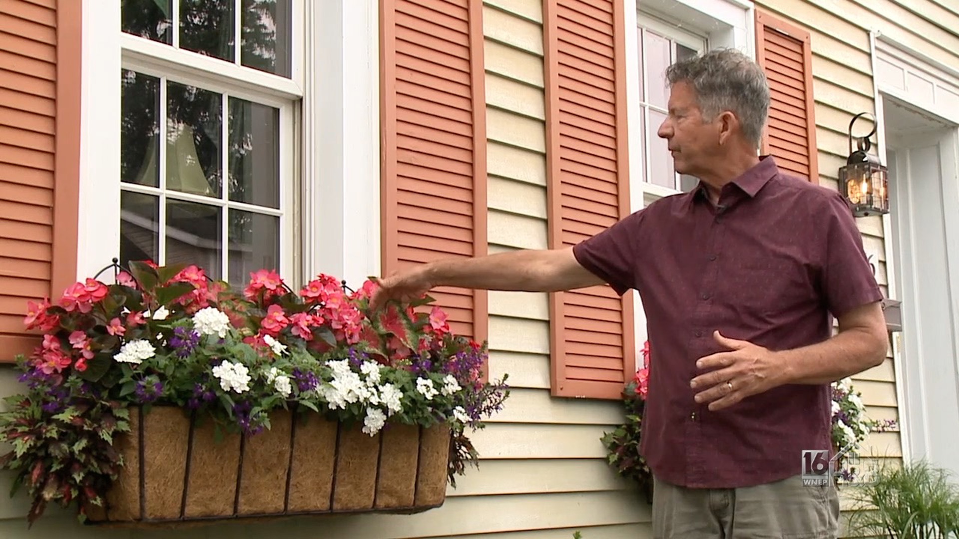 Magnificent Window Boxes and Topiaries