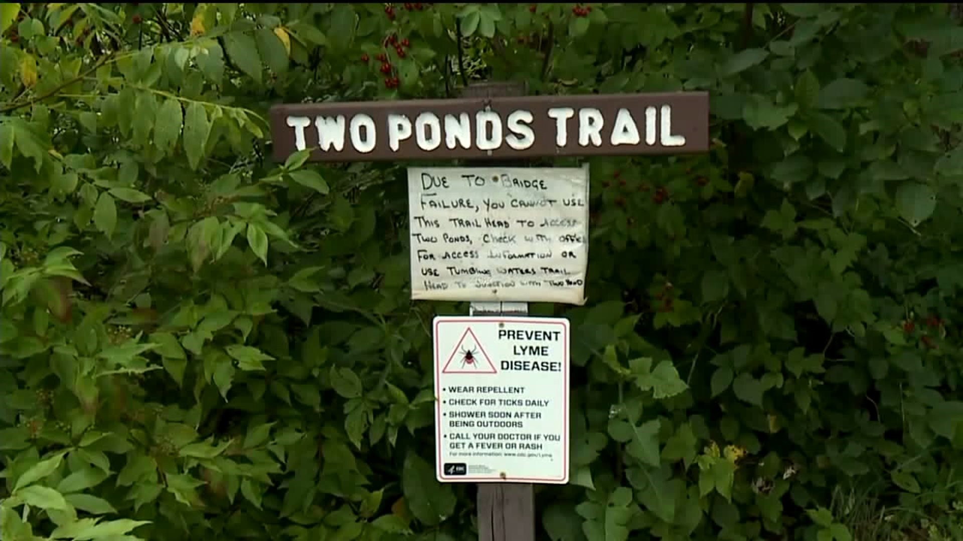 Hiking Trails Reopen in Parts of the Poconos