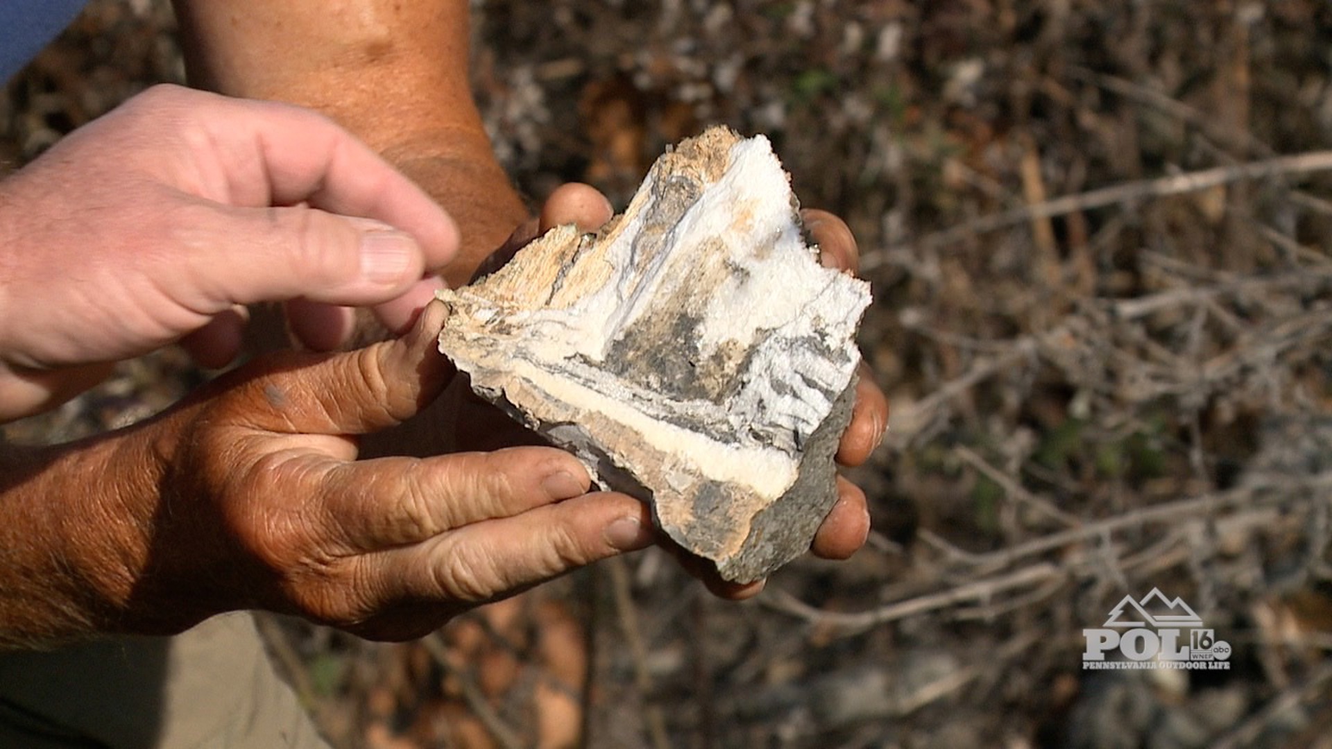 We head out in the field to Collect rocks with Rick Koval,