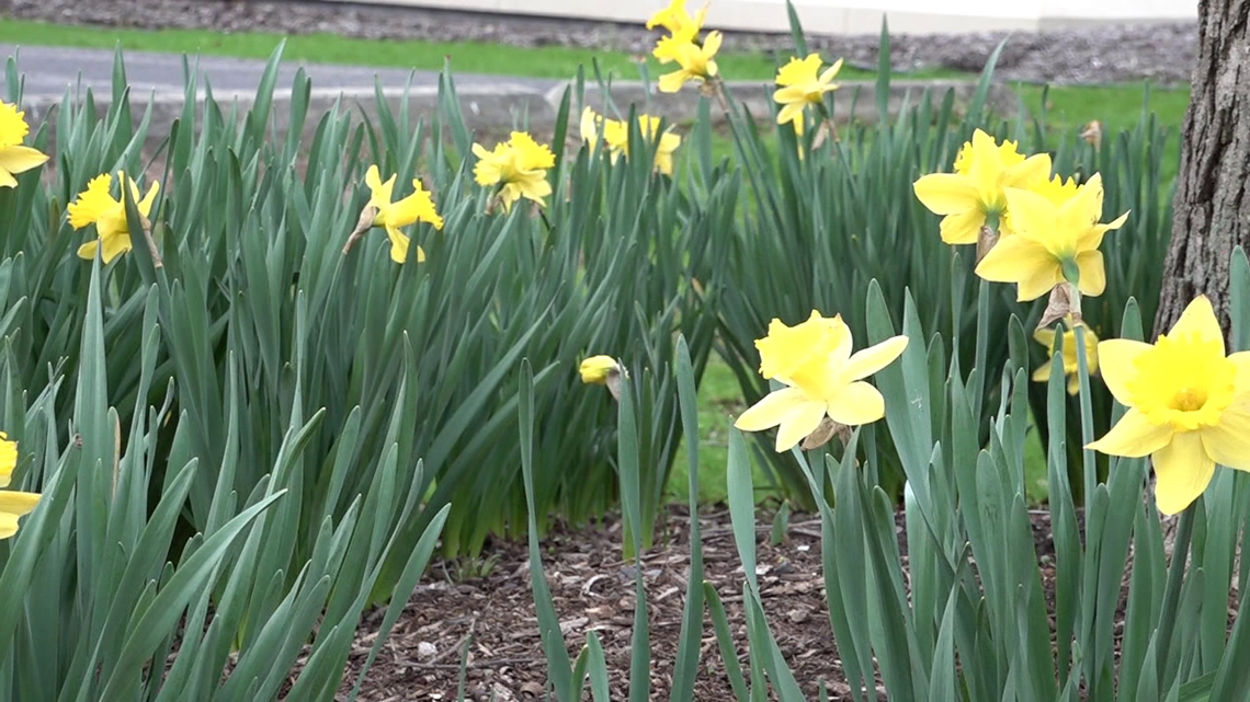 A blooming celebration | On The Pennsylvania Road