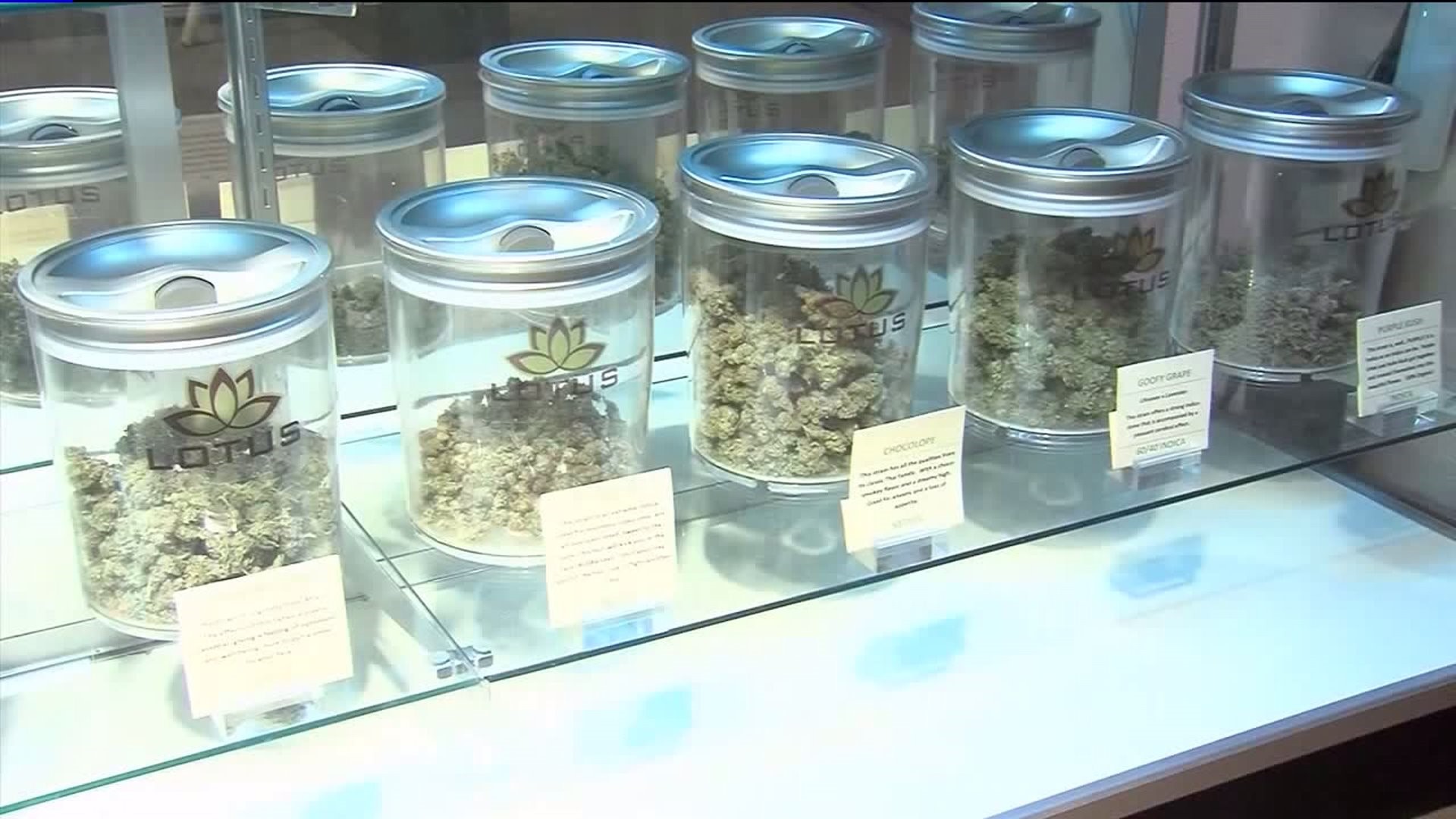 Marijuana Advocates Prepare for Lt. Governor's Listening Tour