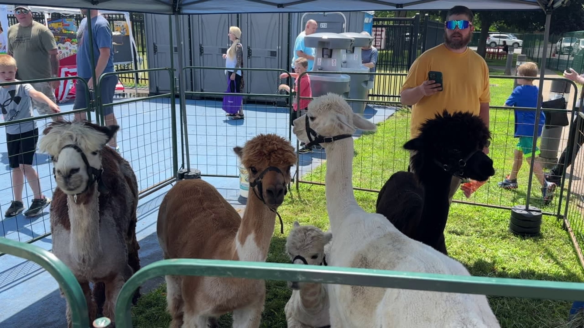 The festival aimed at fighting hunger was held at Stephenson Street Park in Duryea.