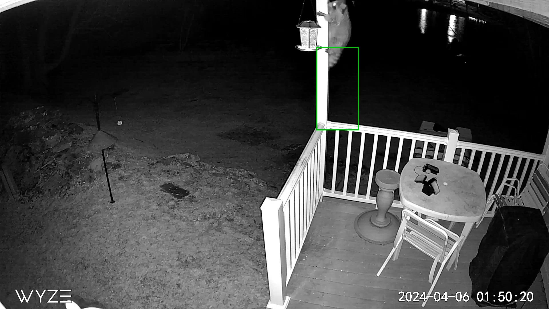 Credit: House cam 4:59 am this morning michael simmons