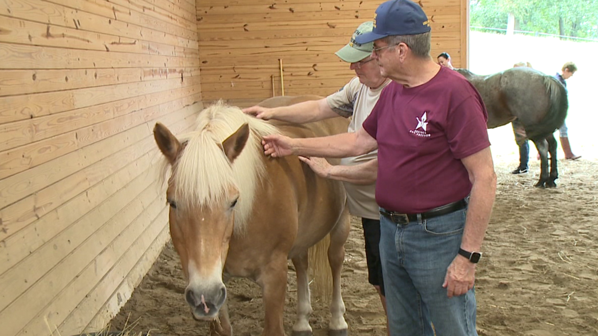 The horses and humans will be here Sunday from 1 p.m. to 3 p.m. for all veterans who need help.
