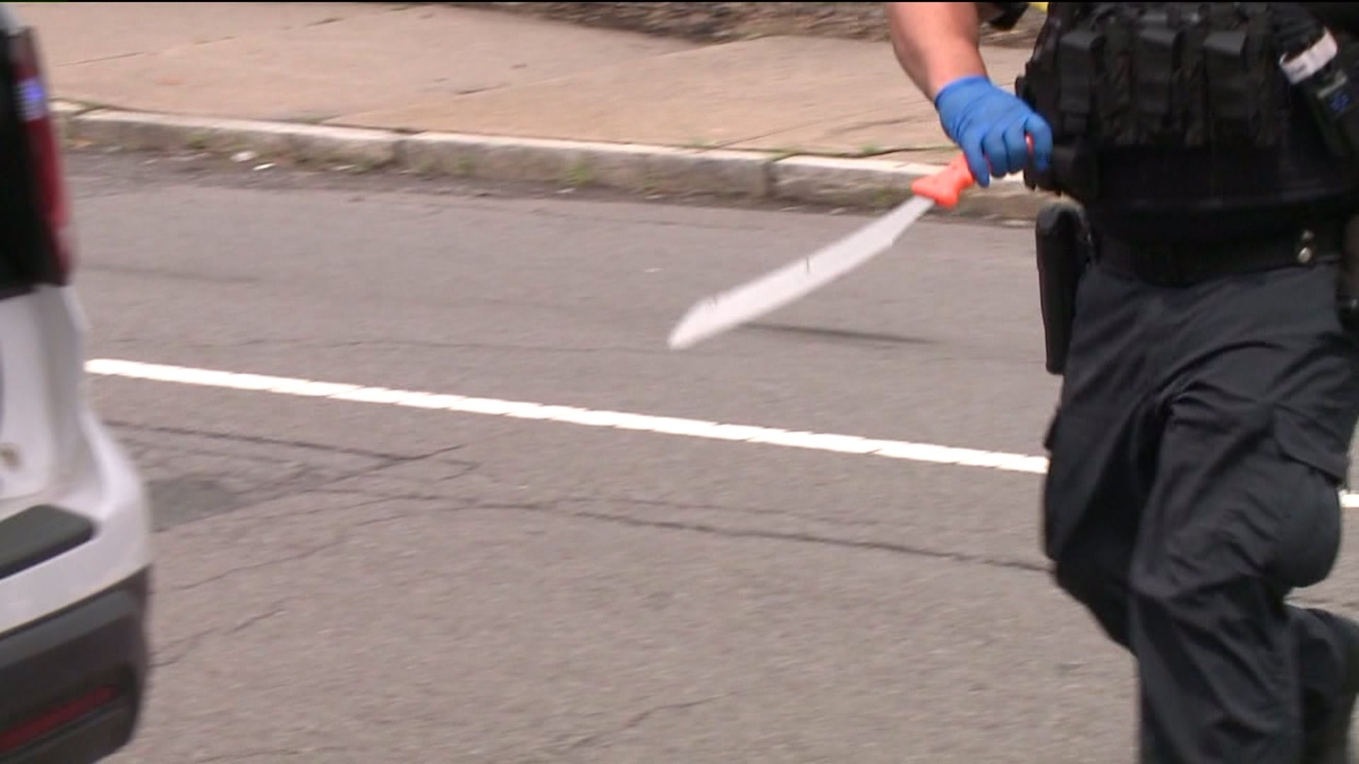 Woman Chases Man with Machete After She Says He Tried to Break into Her Home