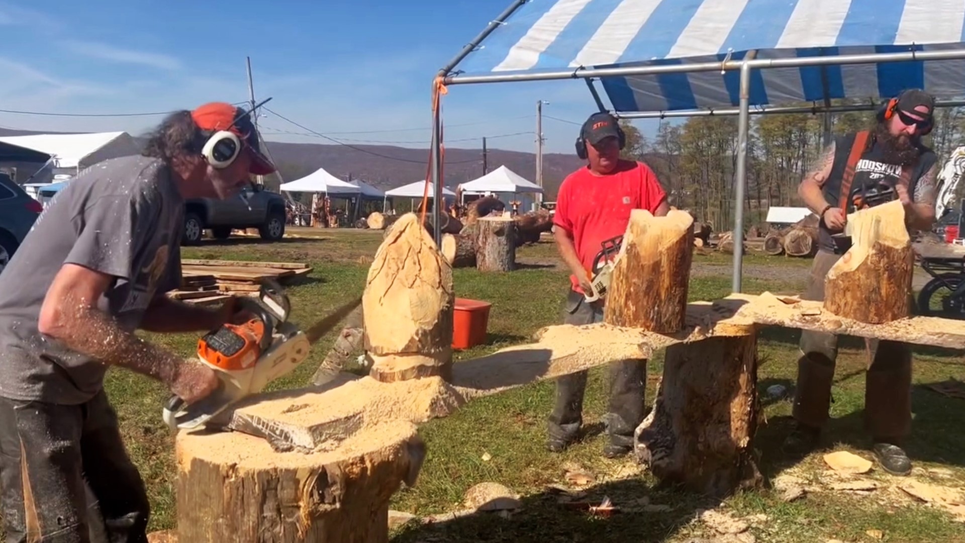 Woodcarvers from across the country are in Clinton County this weekend to show off their skills.