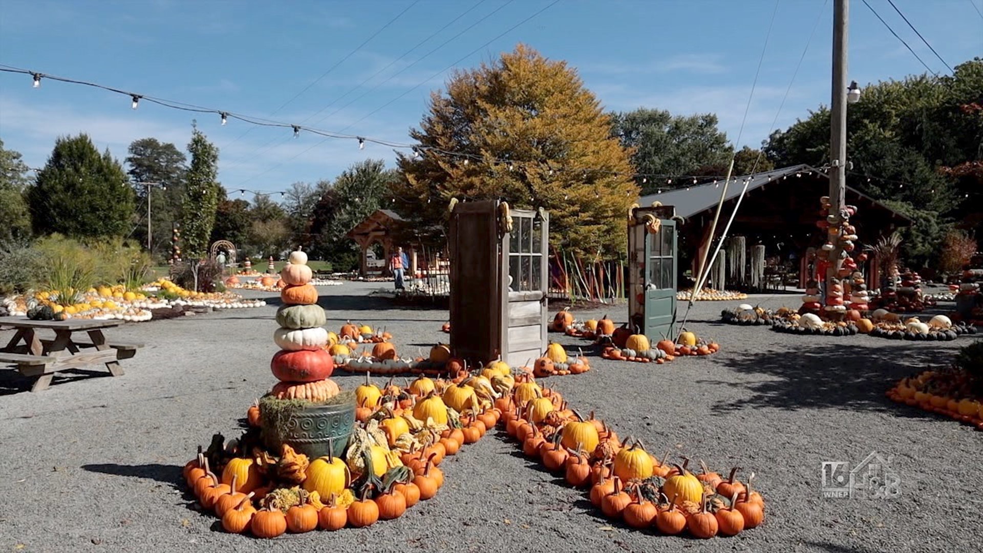 The Pumpkin Walk At Creekside Gardens