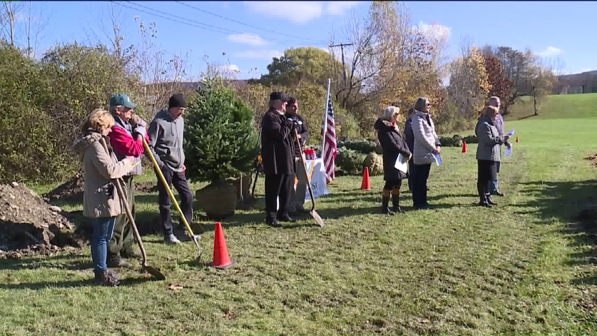 Trees Planted at Clarks Summit Elementary