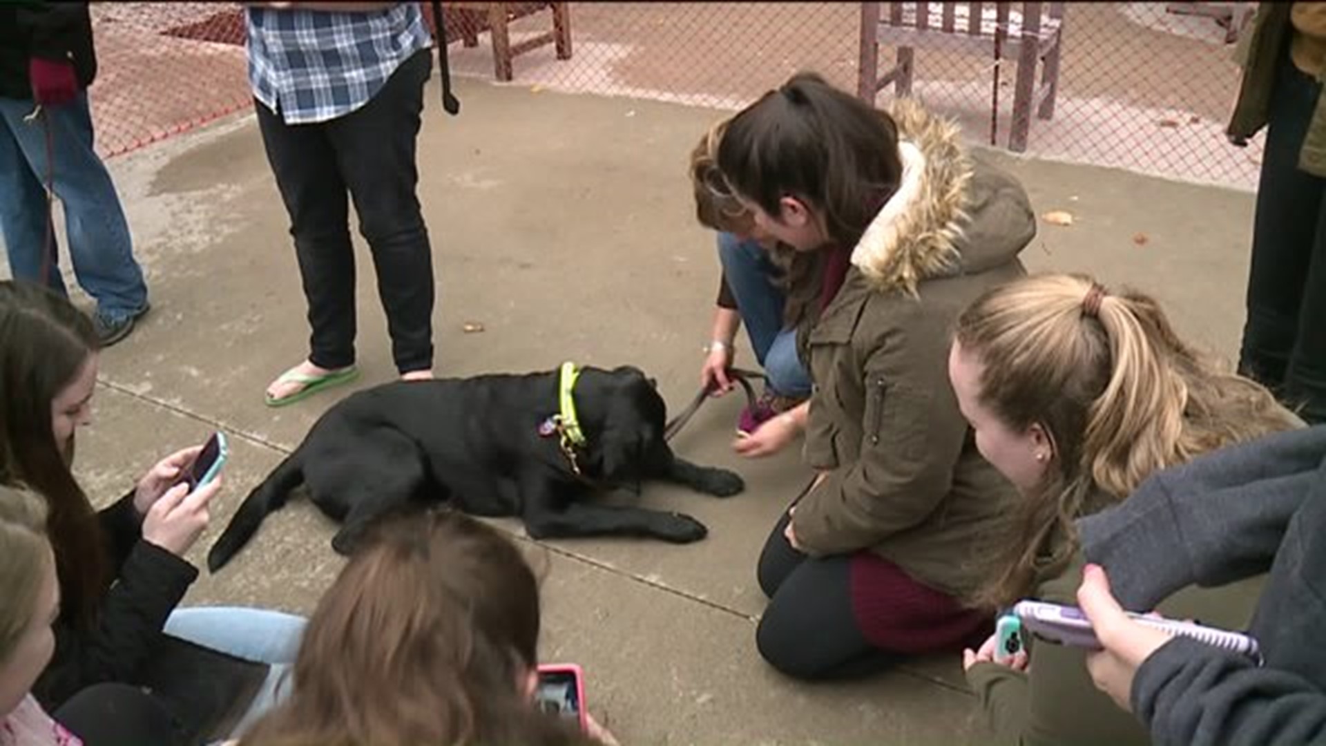 "Pet a Puppy" Event Offers Stress Relief for Students