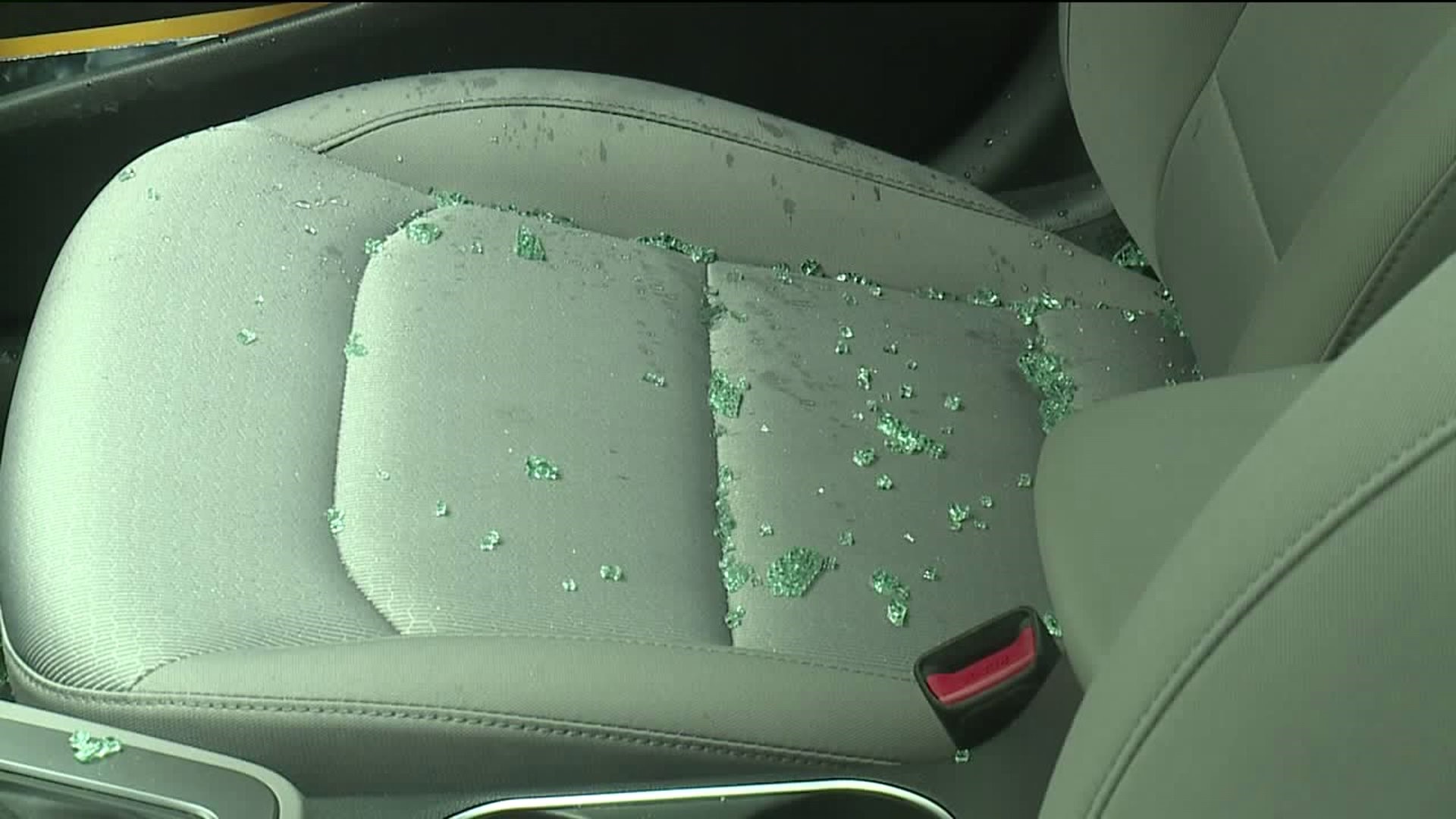 Dozens of Car Windows Smashed in Scranton Vandalism Spree
