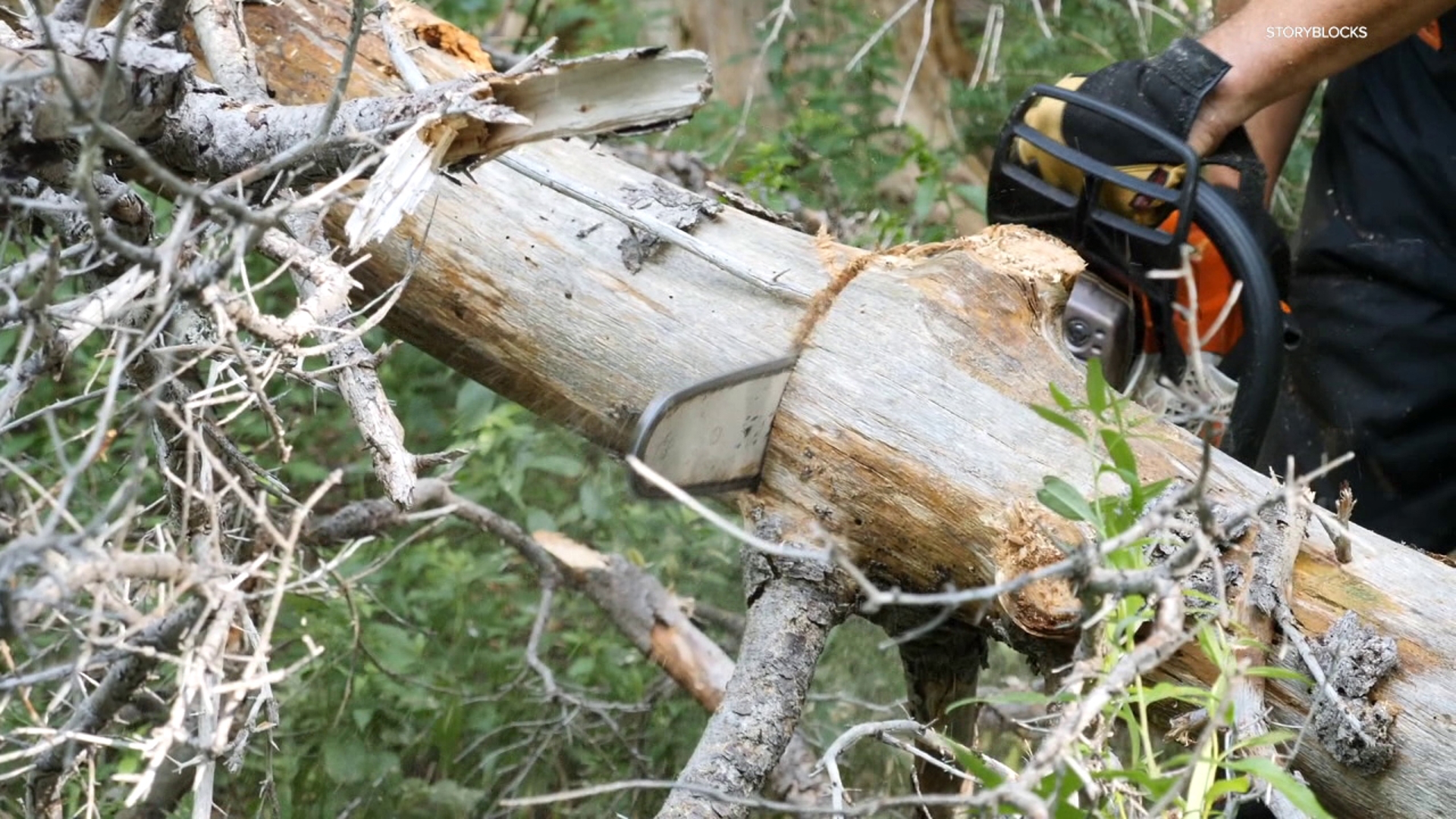 ALIFT is a non-profit organization that is helping loggers that are hurt on the job.