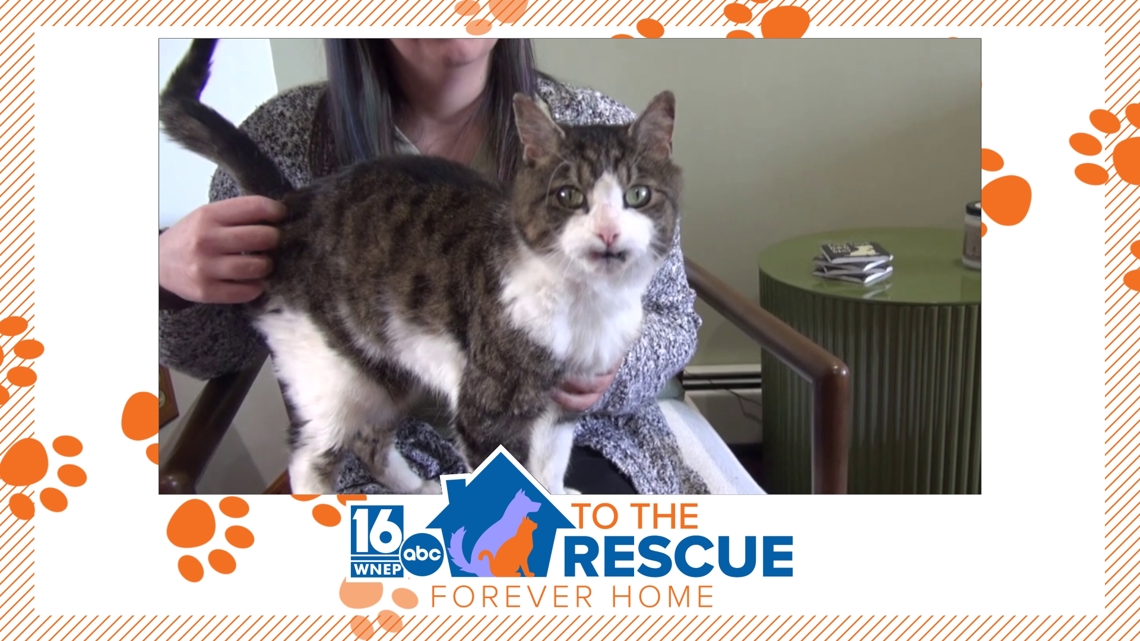 Eugene: 16 To The Rescue