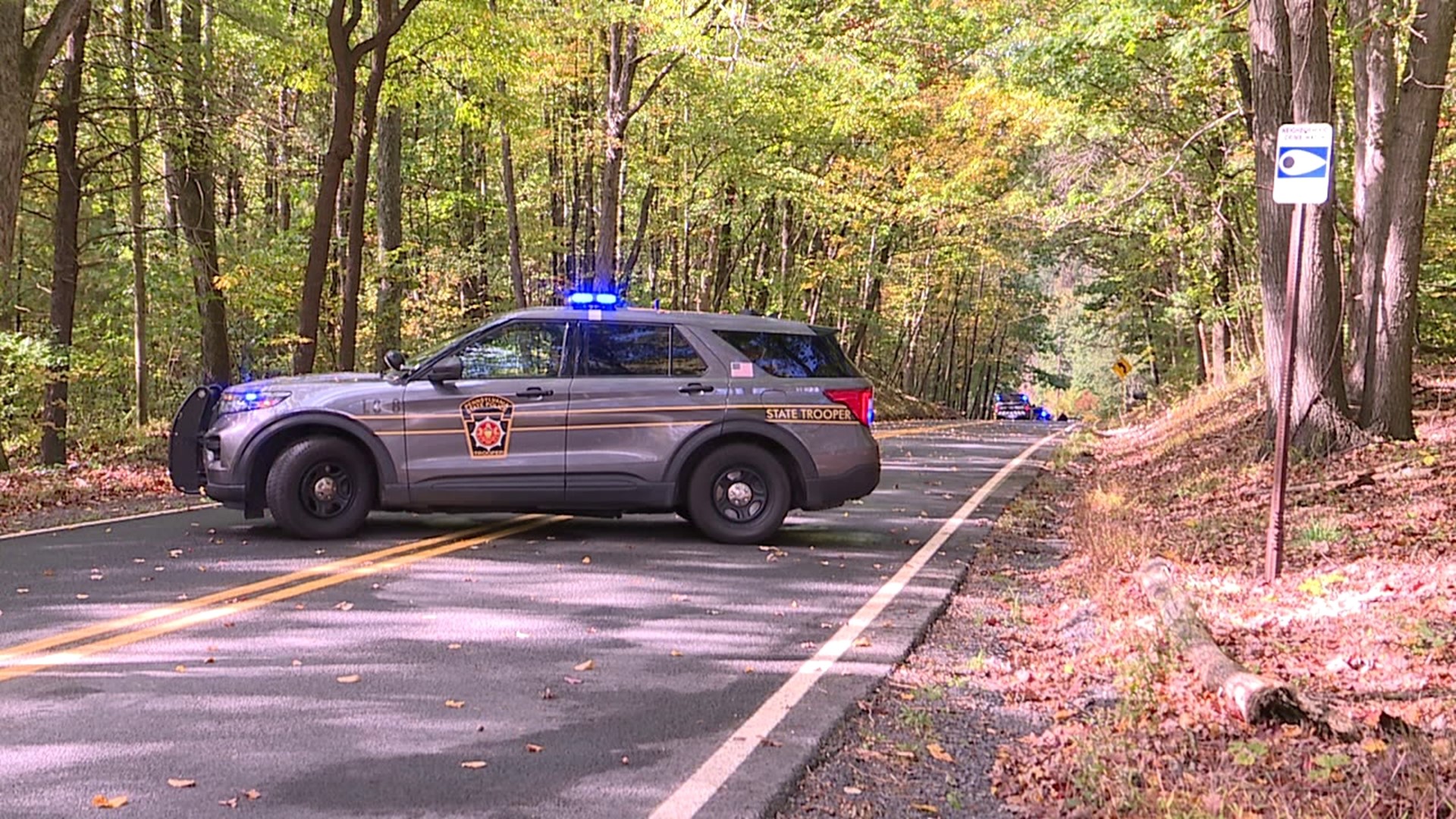 State police are investigating the deaths of two people in Schuylkill County after their bodies were found in a wooded area in New Philadelphia.