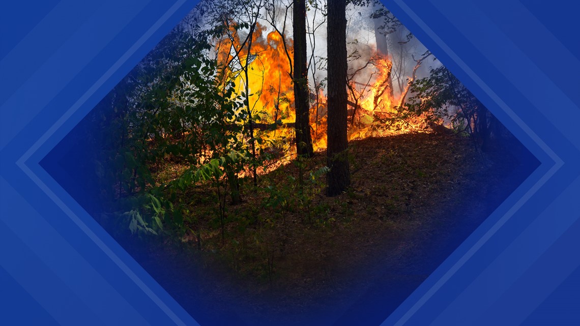 PA State Foresters Warn Of Brush Fire Season | Wnep.com