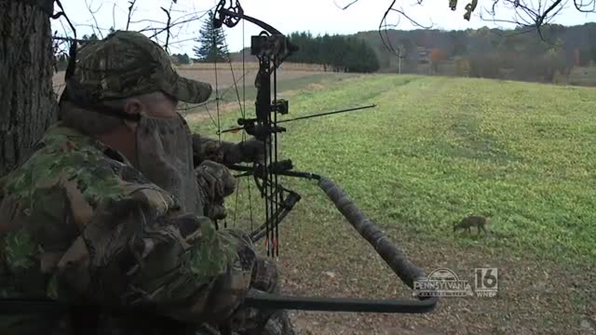 Bow Hunting with Winchester Archery