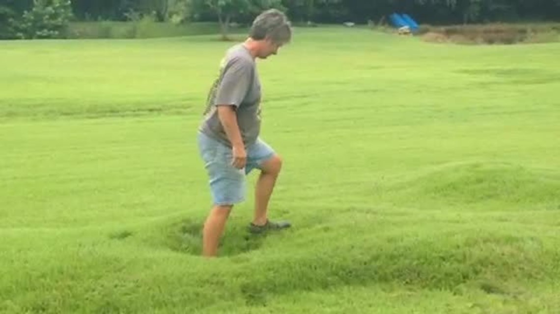 Heavy Rain Turns Lawn into Giant Waterbed