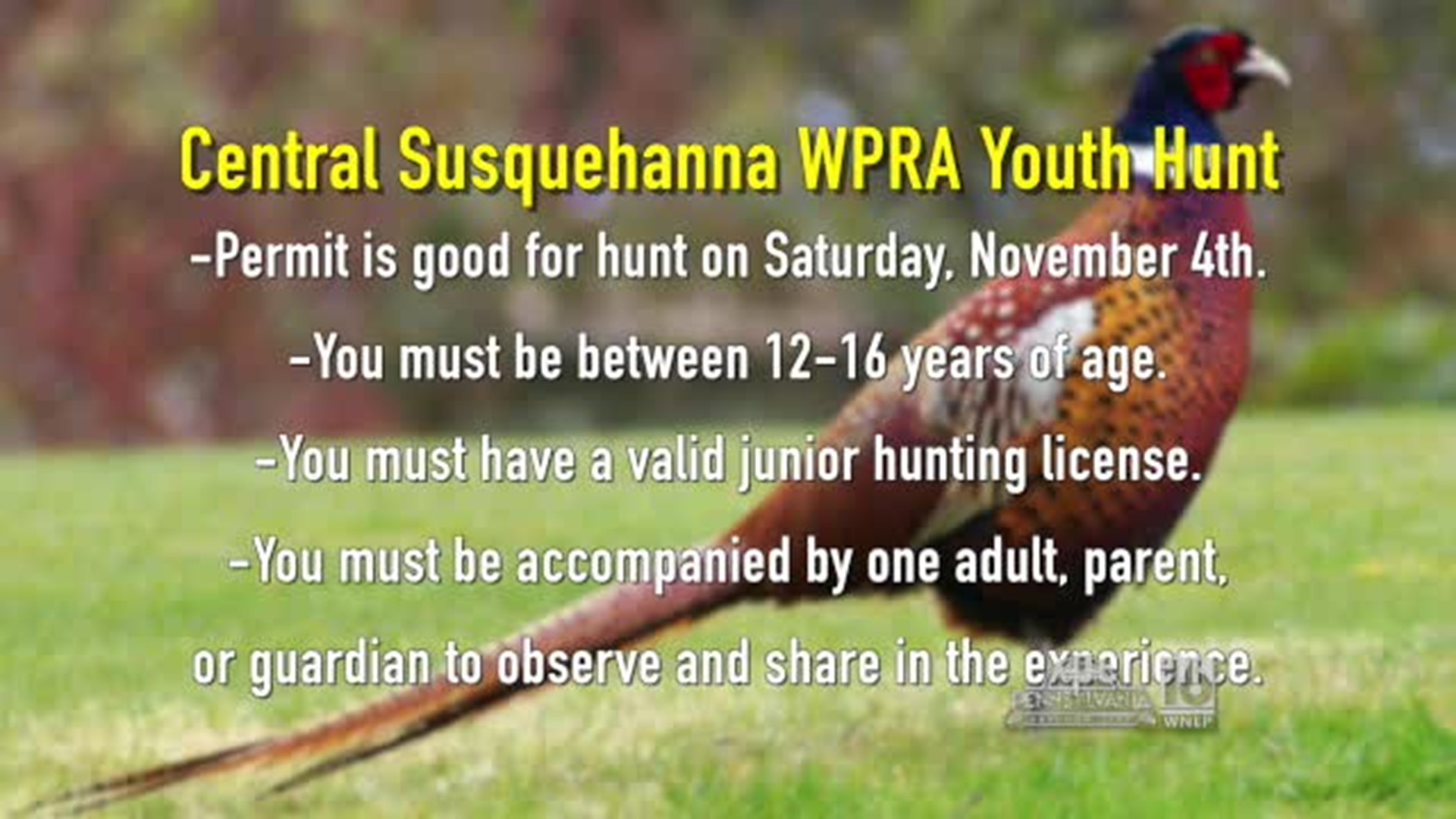 Central Susquehanna Pheasants Forever WPRA Youth Pheasant Hunt Details
