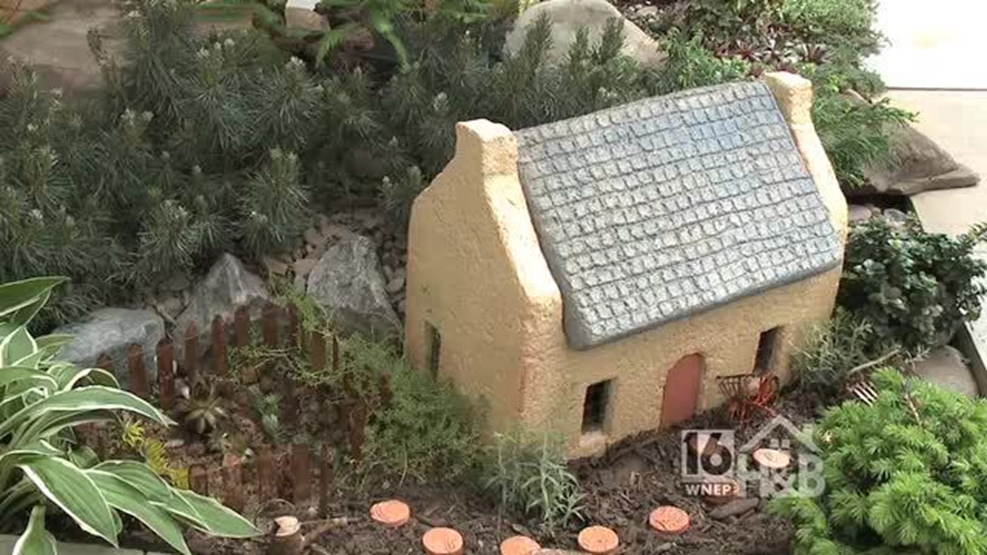 Creekside-Mini gardens    Home & Backyard