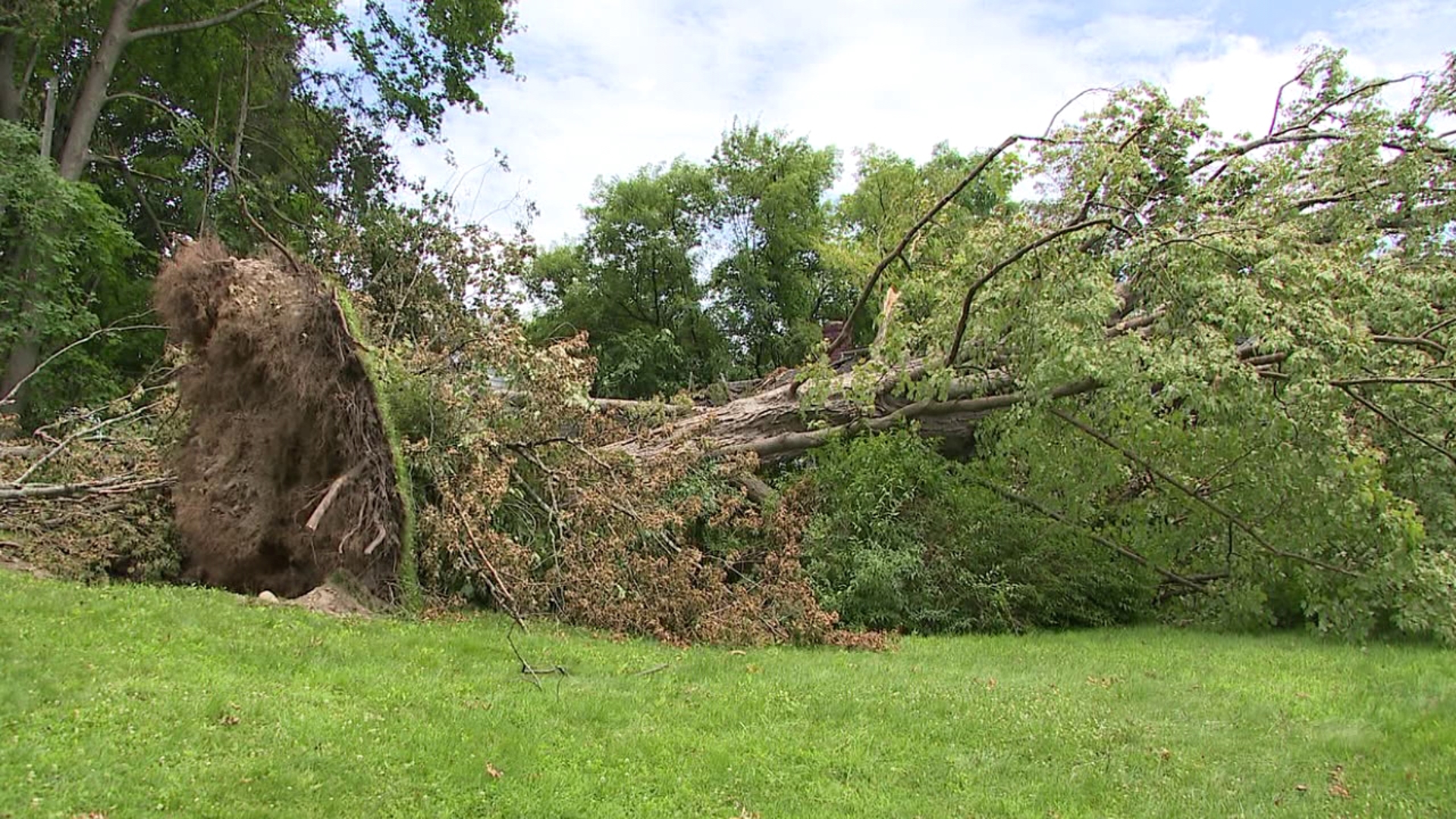 A severe storm in Susquehanna County left significant tree damage and power outages as residents and officials work to bring things back to normal.