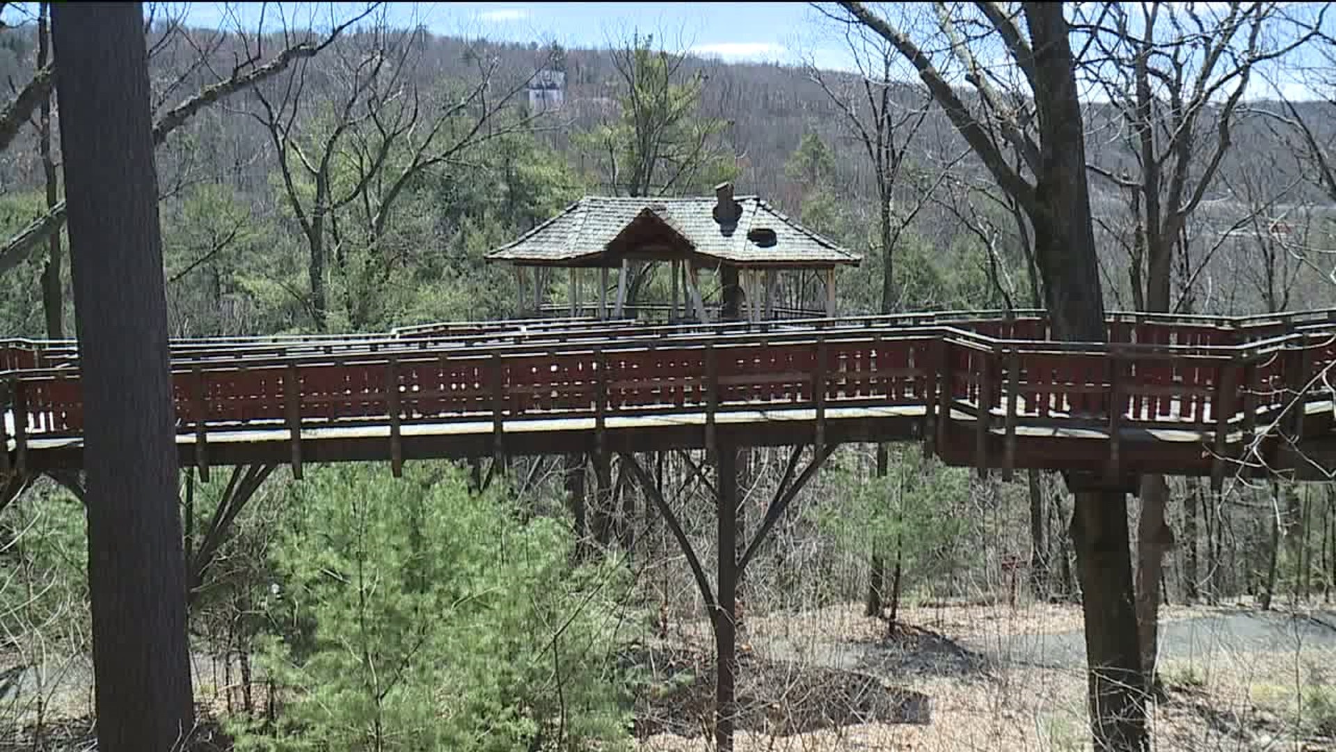City Requesting Grant for Treehouse Repairs