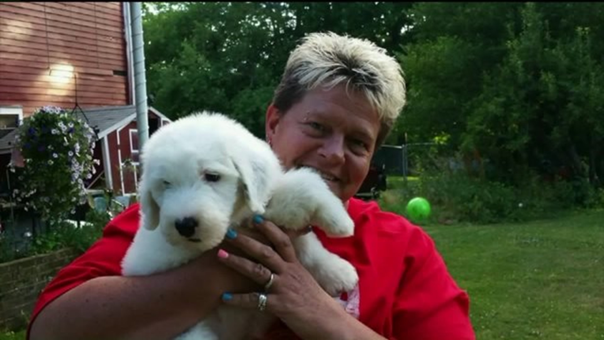 "Emotional and just disbelief," Dog Trainer, Friend Mourned in Dushore