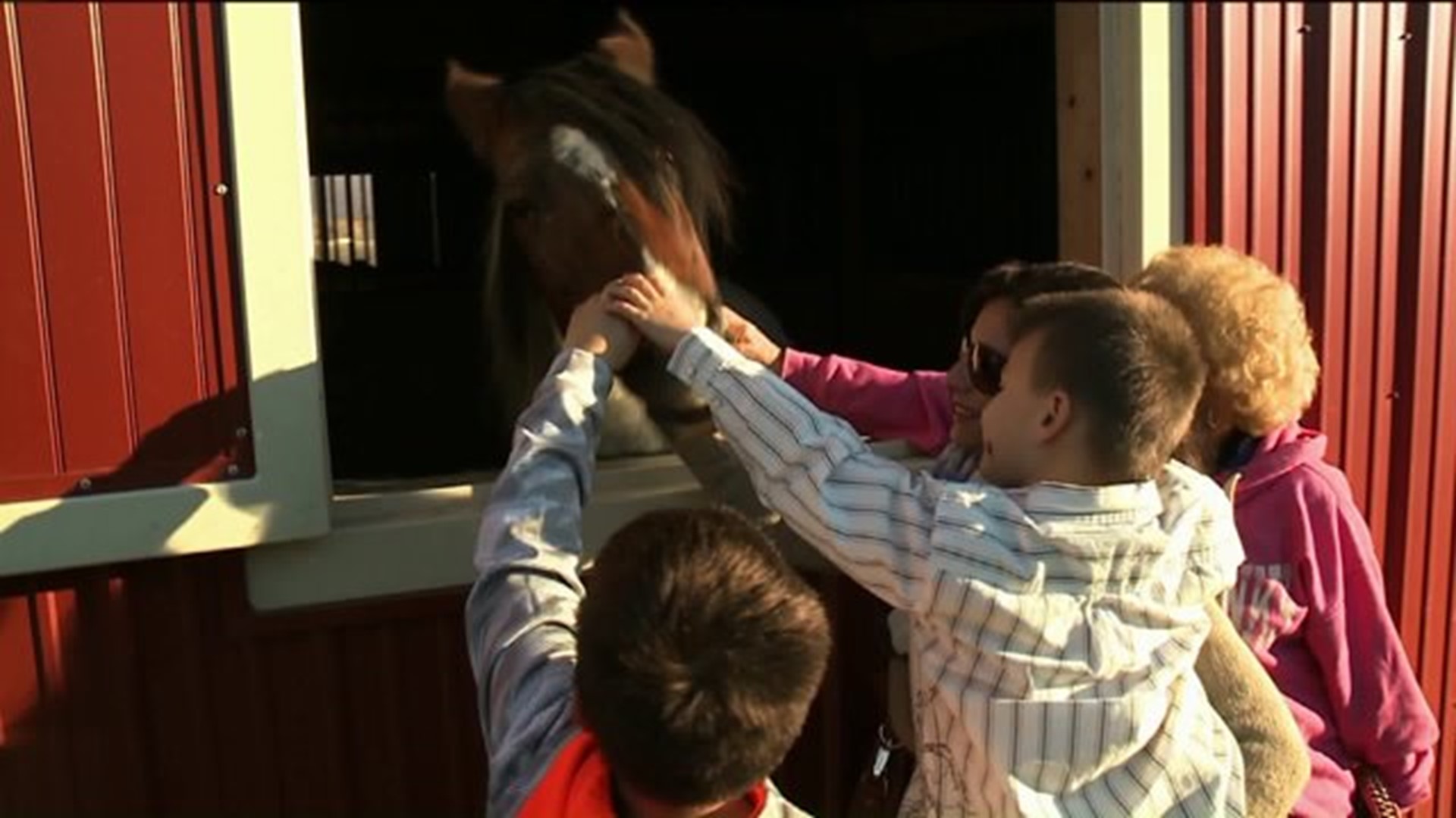 Horses Helping our Heroes Heal