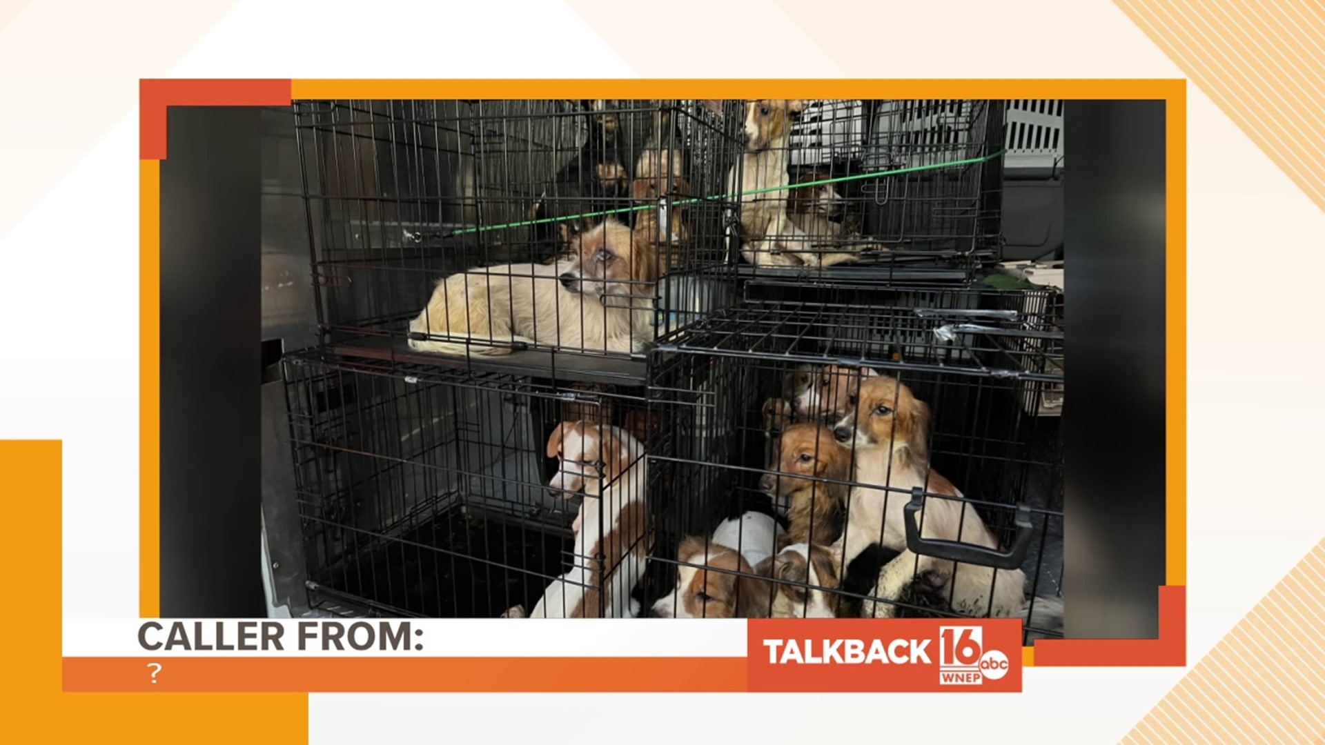 Callers are commenting on more than 140 dogs that were rescued from a home in Chestnuthill Township.