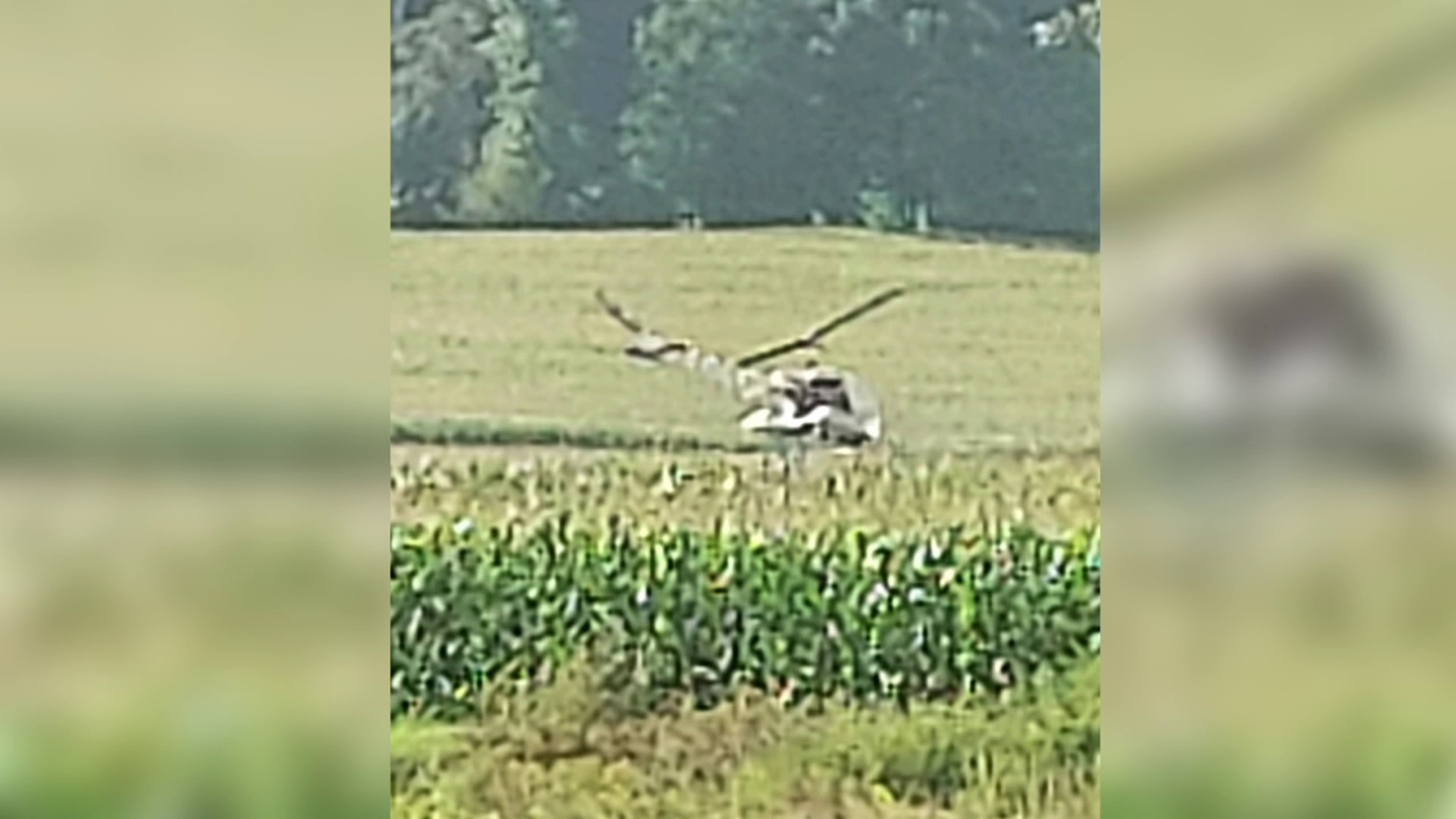 The crash happened Saturday morning at a field along Mifflin X Road in Mifflin Township.