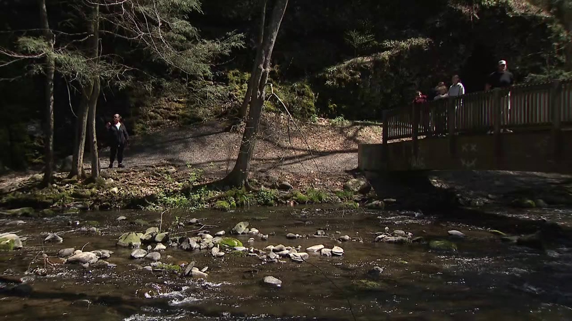 A new park in Monroe County was the perfect place to spend Earth Day. Newswatch 16's Emily Kress shares all that Marshalls Falls Park has to offer.