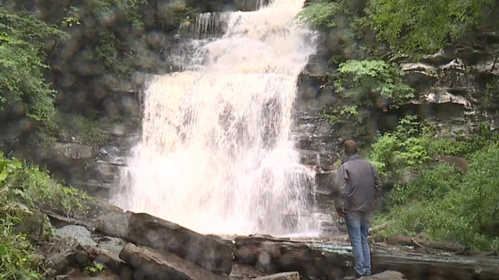 The water is back at Ricketts Glen's famous Falls Trail. Jon Meyer shows us the dramatic changes in only a few days.
