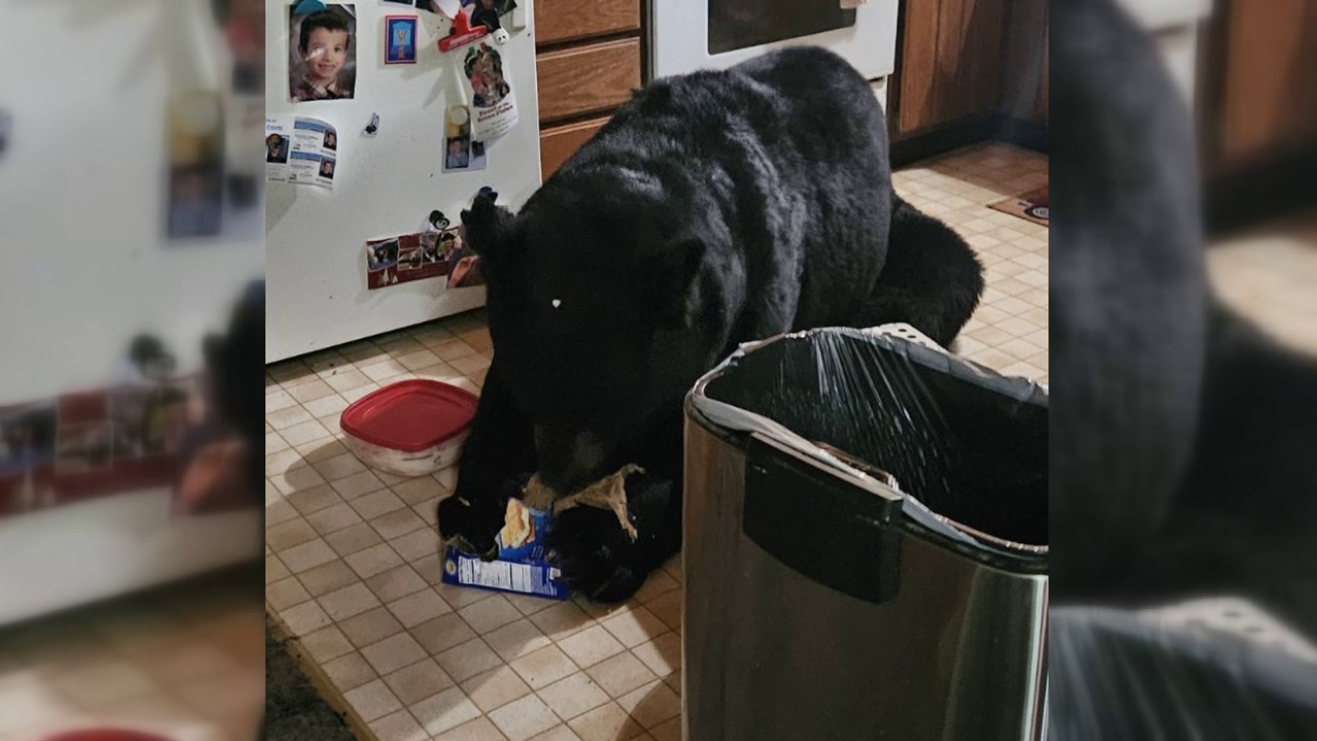 A woman heard a noise in her house and came face to face with a bear in her kitchen.