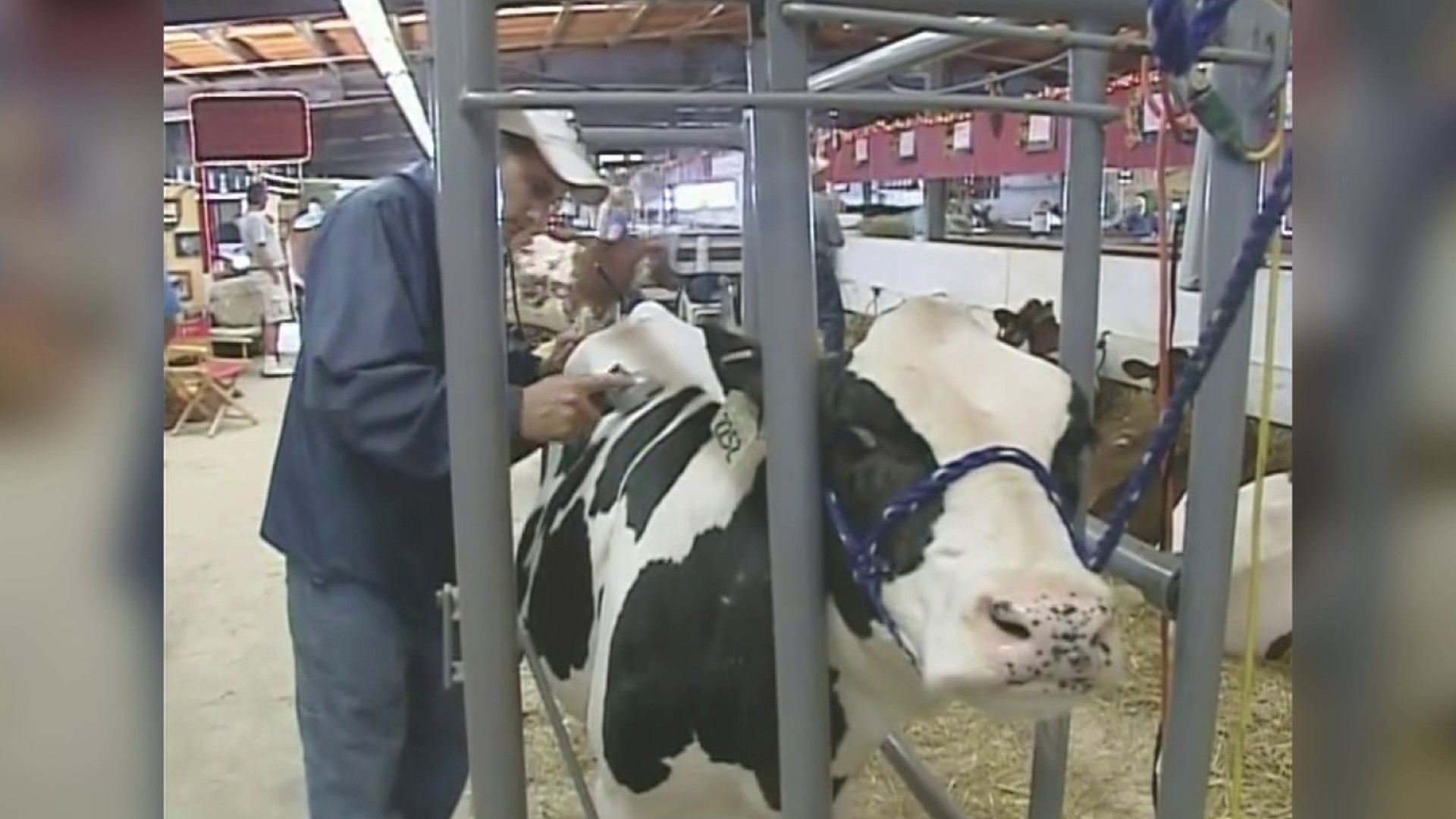 Mike Stevens takes us back to a memory of the Bloomsburg Fair from 2008.