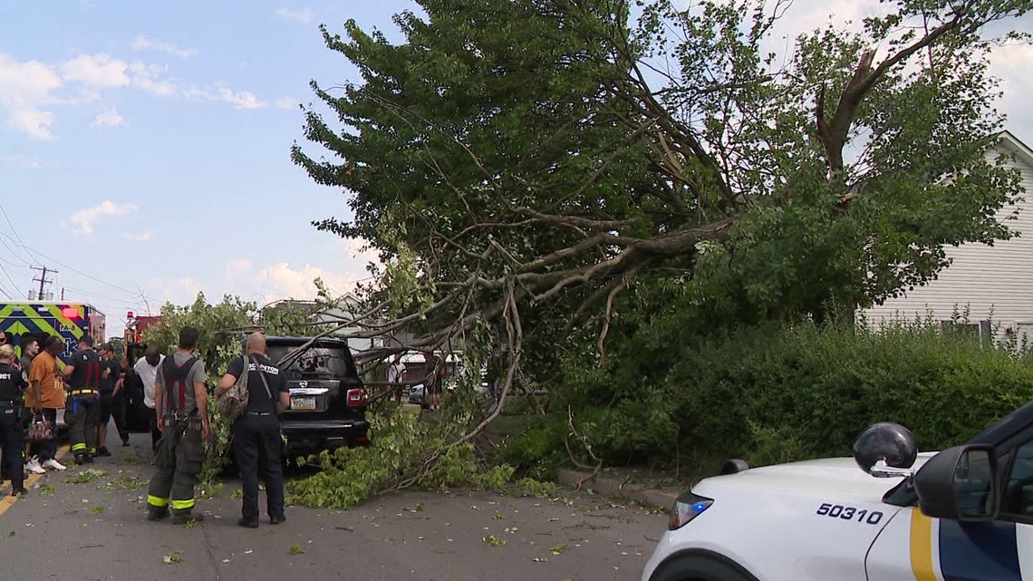 Tree falls on car in Scranton | wnep.com