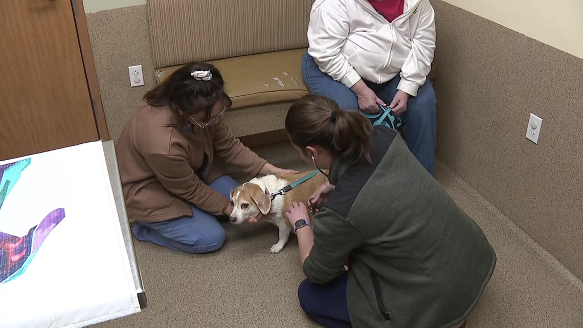 Trimming emergency veterinary services in Sunbury