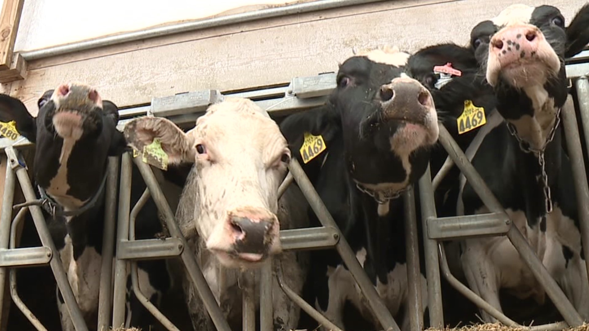 As crews continue restoring power to homes and businesses affected by this week's snowstorm, farmers are crossing their fingers it happens sooner rather than later.