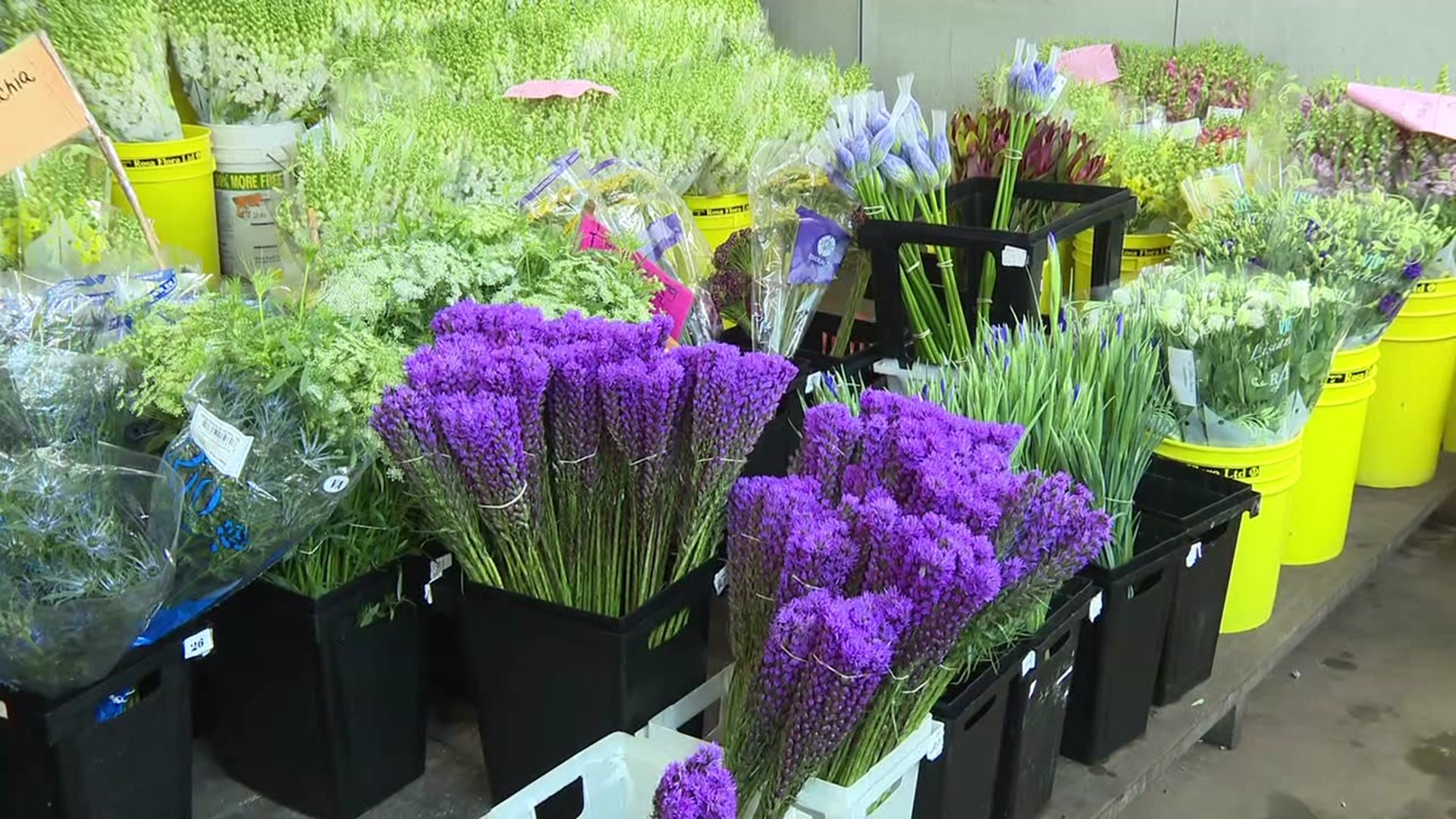 It's crunch time for Dillon Floral in Bloomsburg, a wholesale florist that provides flowers, plants, and accessories to nearly 1,000 retail flower shops.