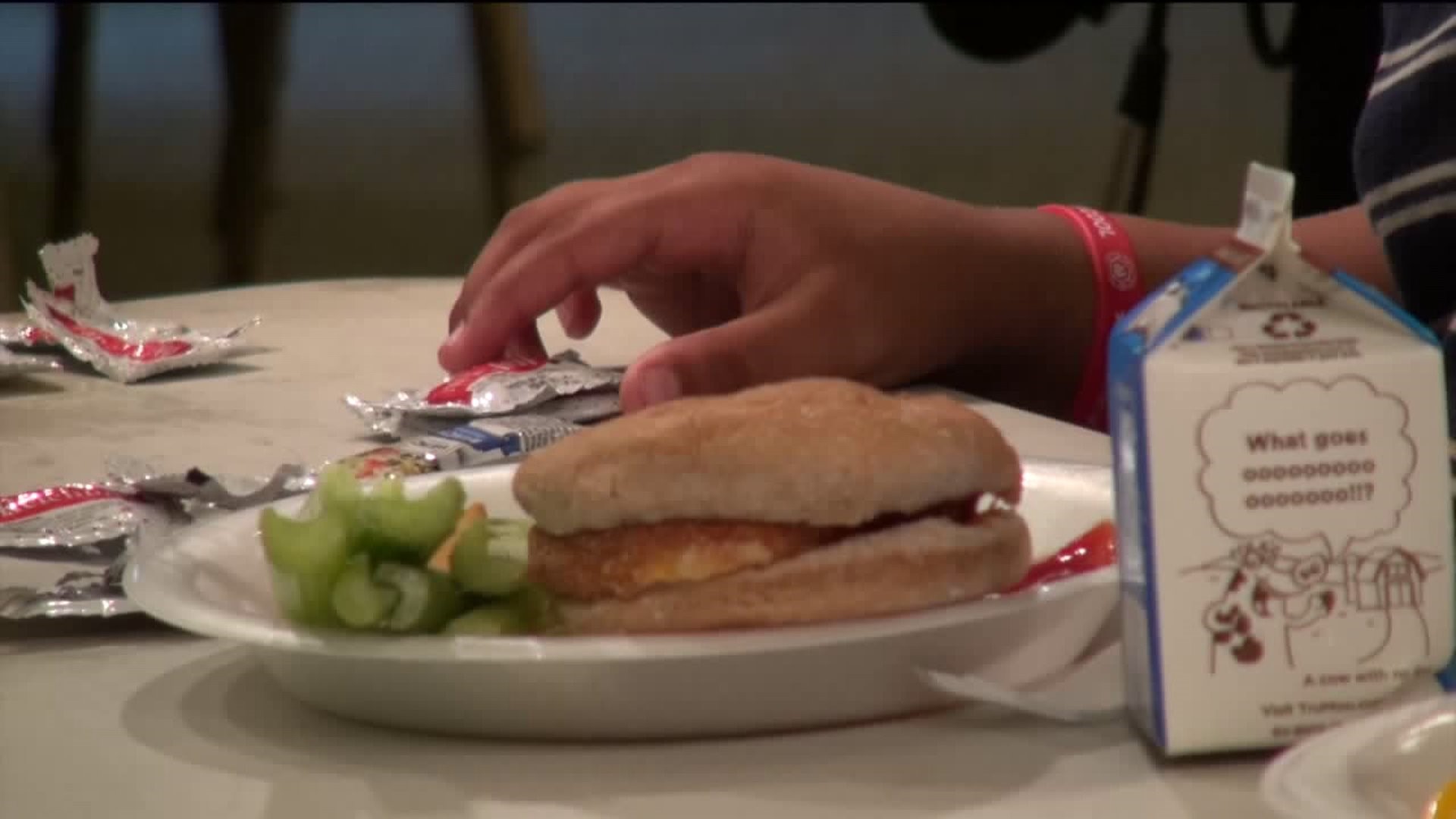 Free Lunches for Kids at A Pocono Country Place