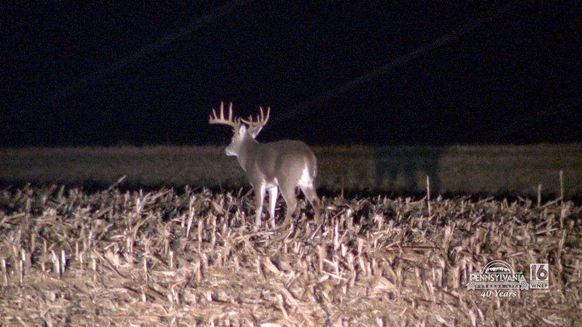 Spotlighting Deer in Columbia County with the Pennsylvania Game