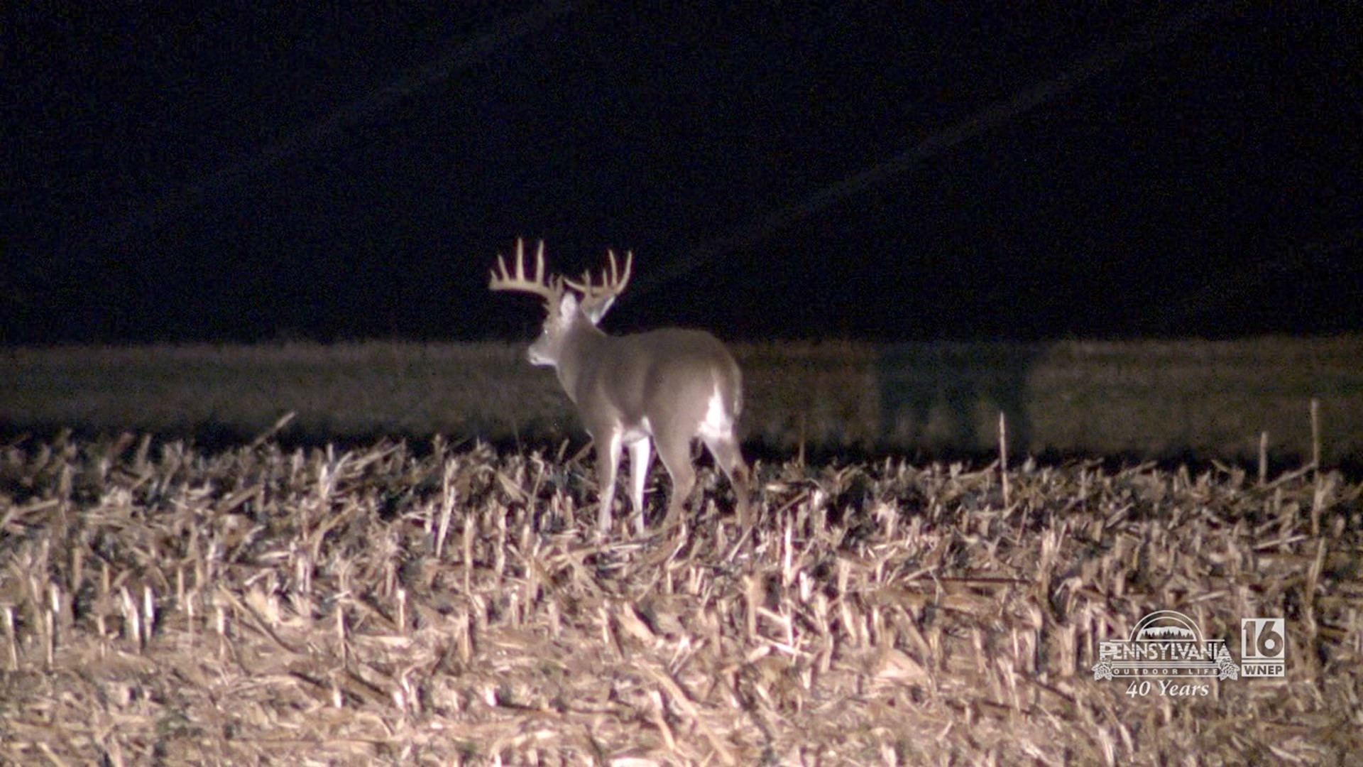 The big bucks are on their feet.