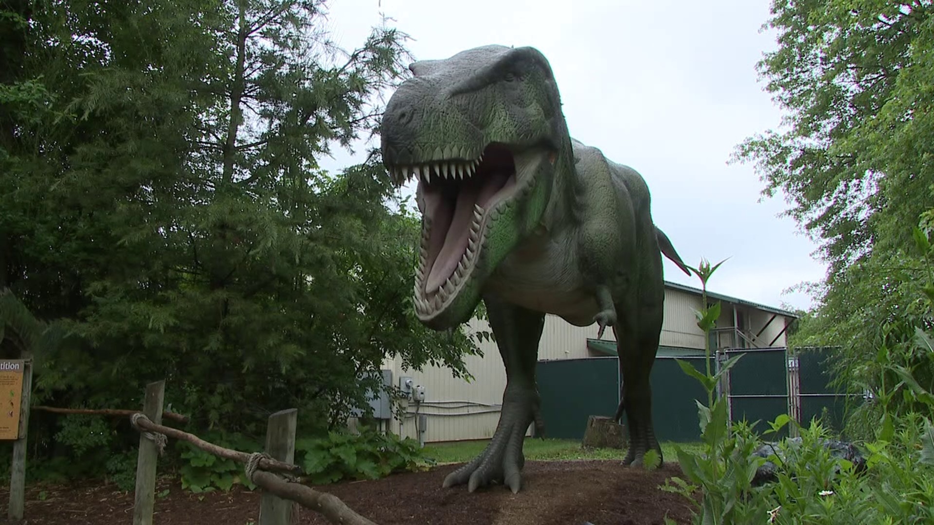 This weekend is Dino Days at Clyde Peeling's Reptiland near Allenwood.
