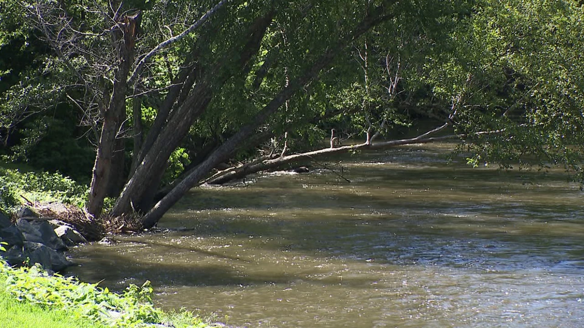 Officers from Dickson City and Throop jumped into action Wednesday evening to save a girl from being swept away by the rushing waters of the Lackawanna River.