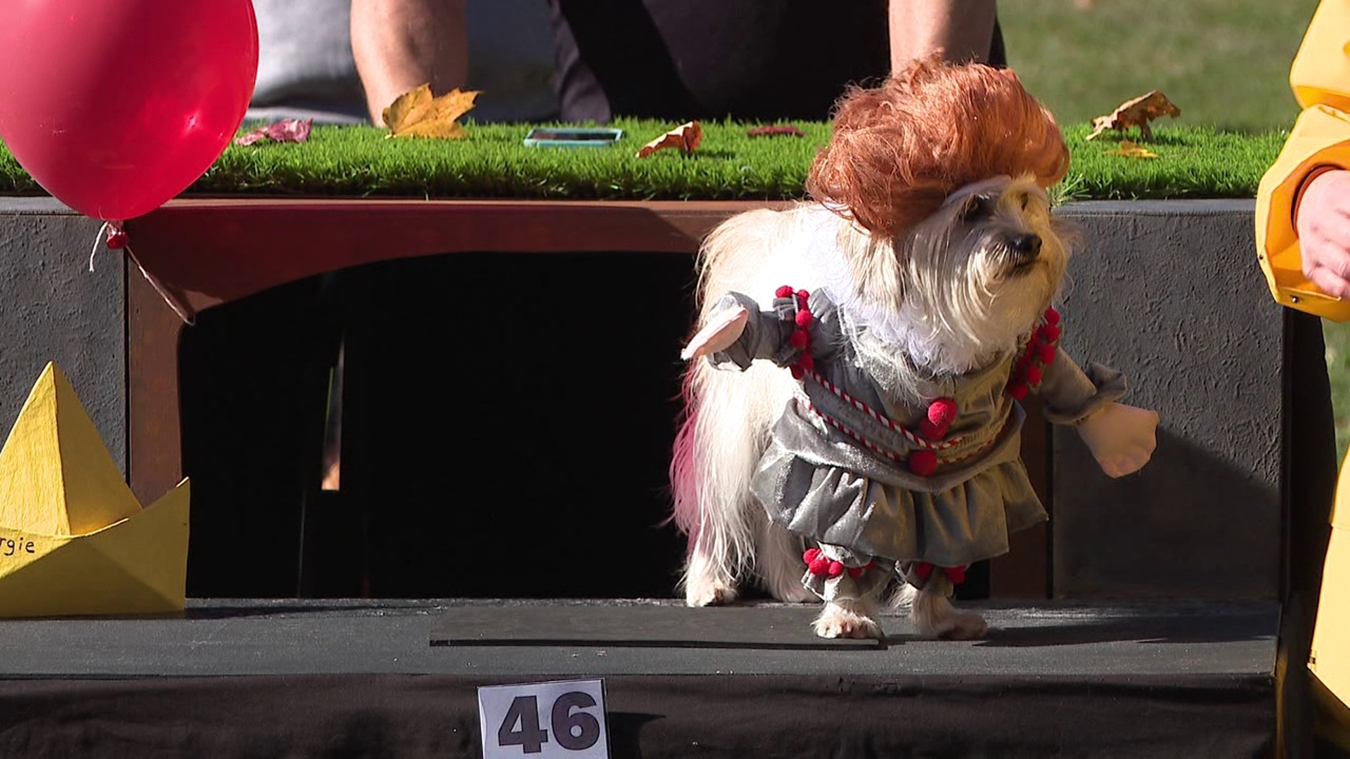 An annual Halloween tradition featuring man's best friend returned to part of Lackawanna County on Sunday.