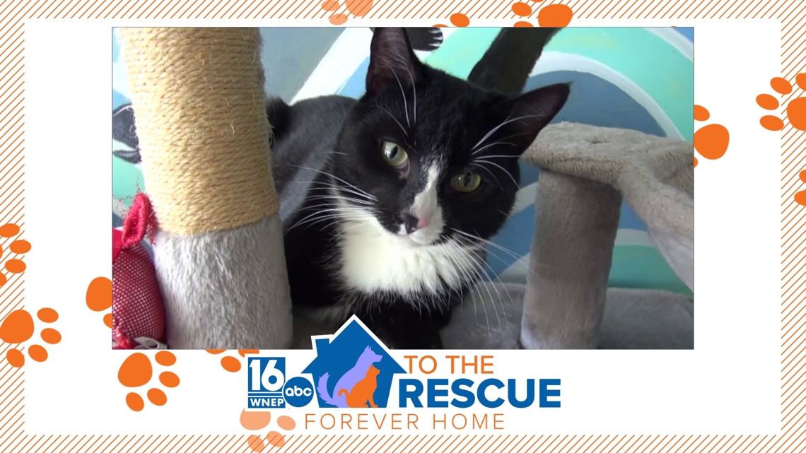 16 To The Rescue: Landon