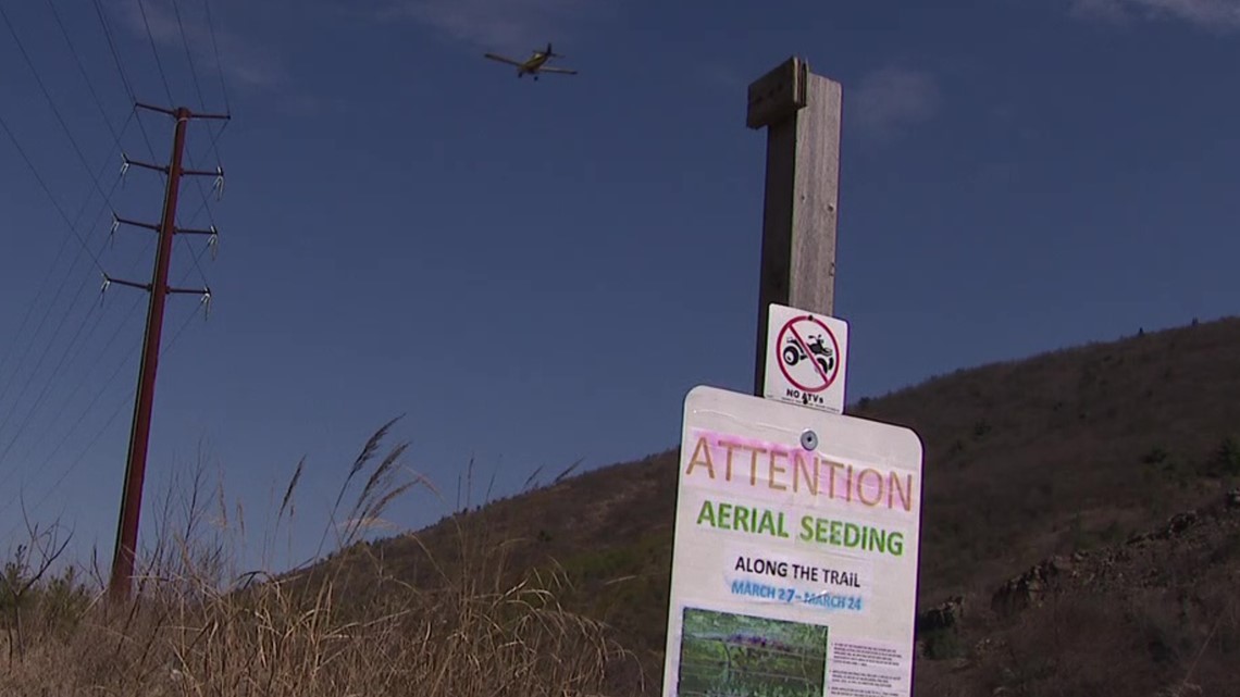 Blue Mountain aerial reseeding near Palmerton - Vimarsana News