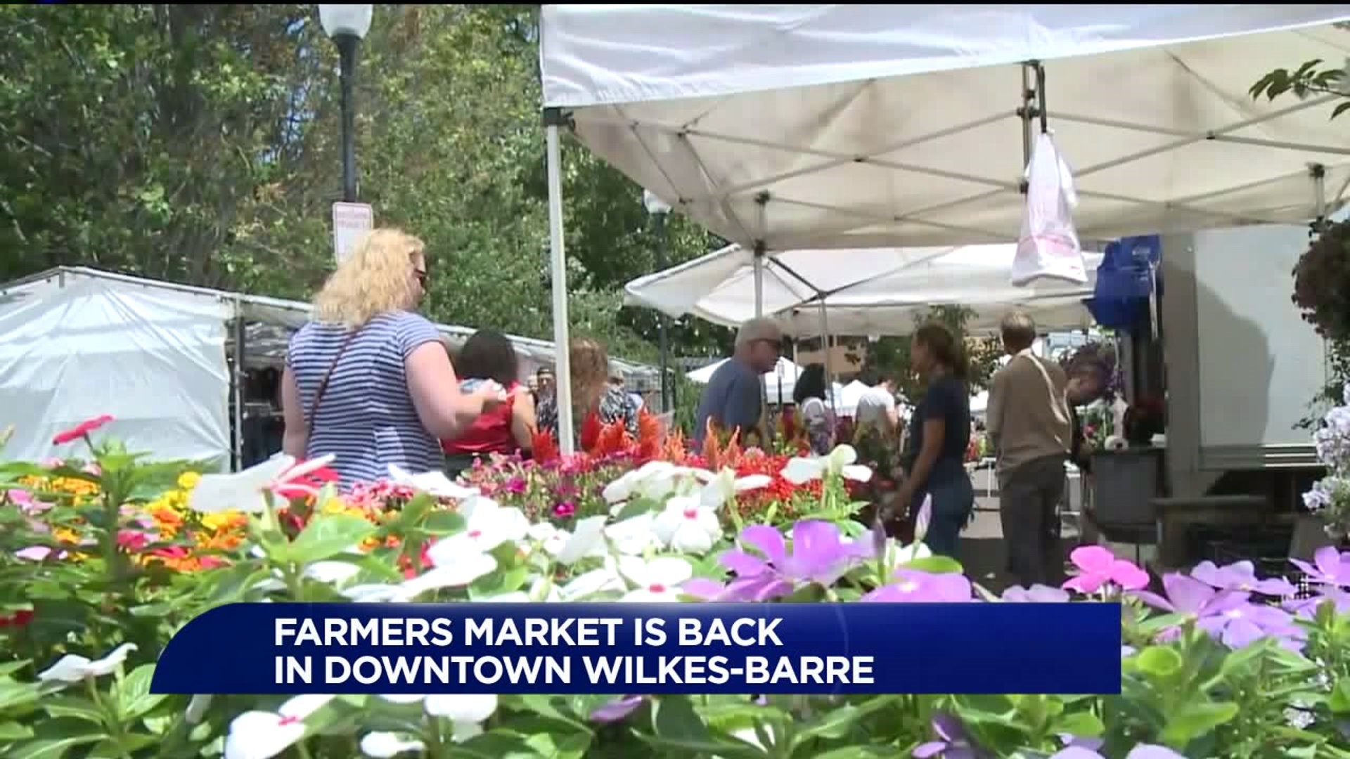 WilkesBarre Farmers Market Blossoms with Business