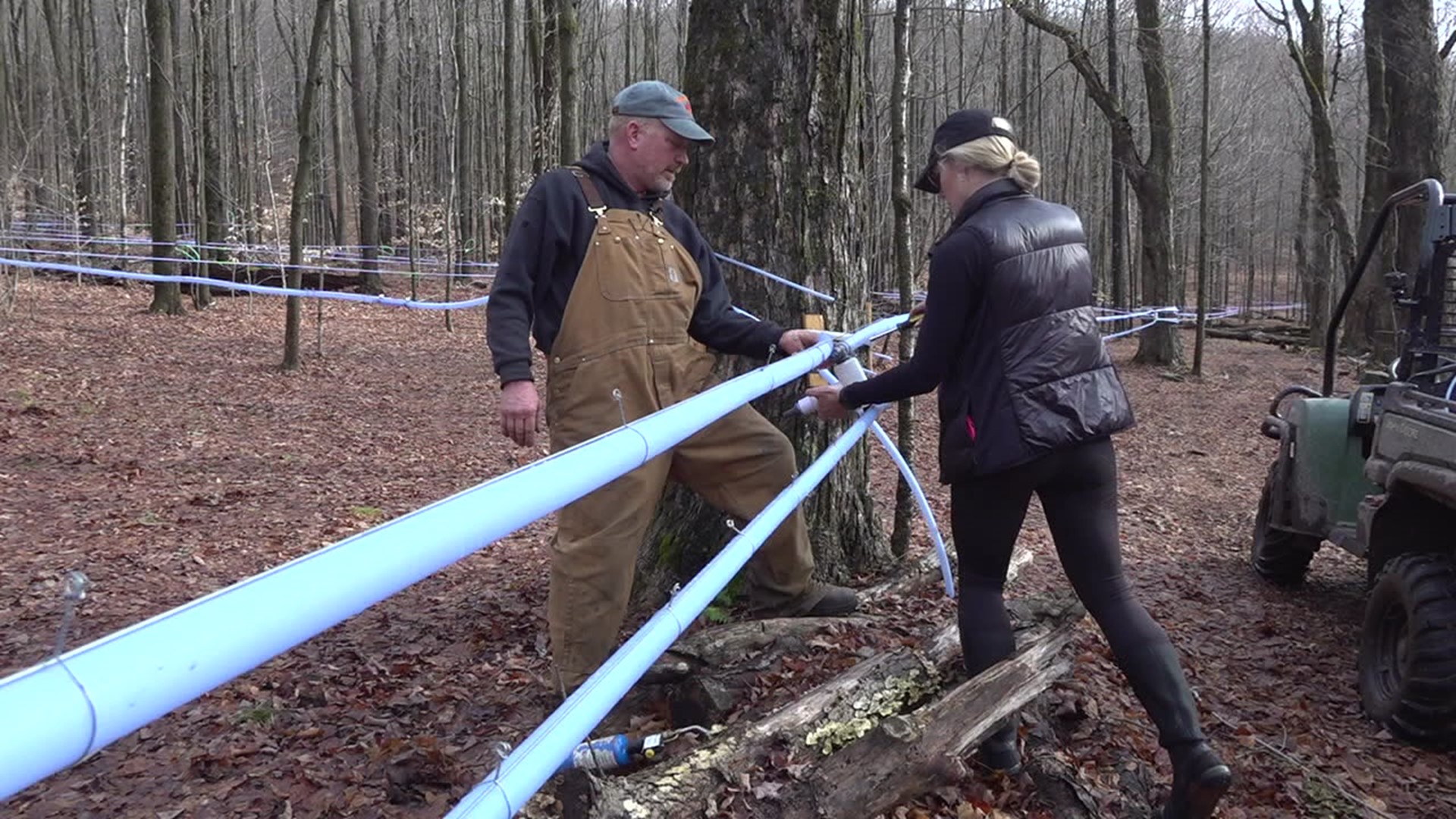 Newswatch 16's Chelsea Strub gets a glimpse at the work behind collecting tree sap to make maple syrup.