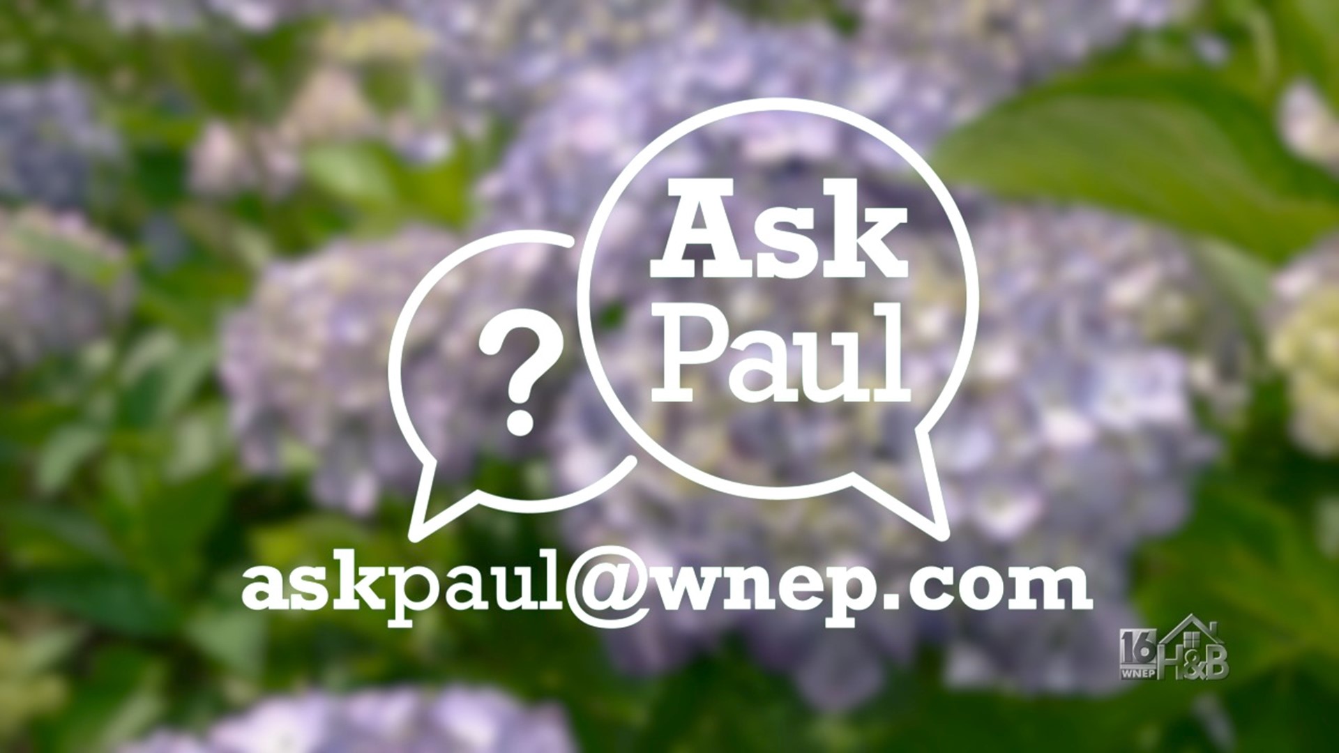 Garden and Plant Questions? Ask Paul